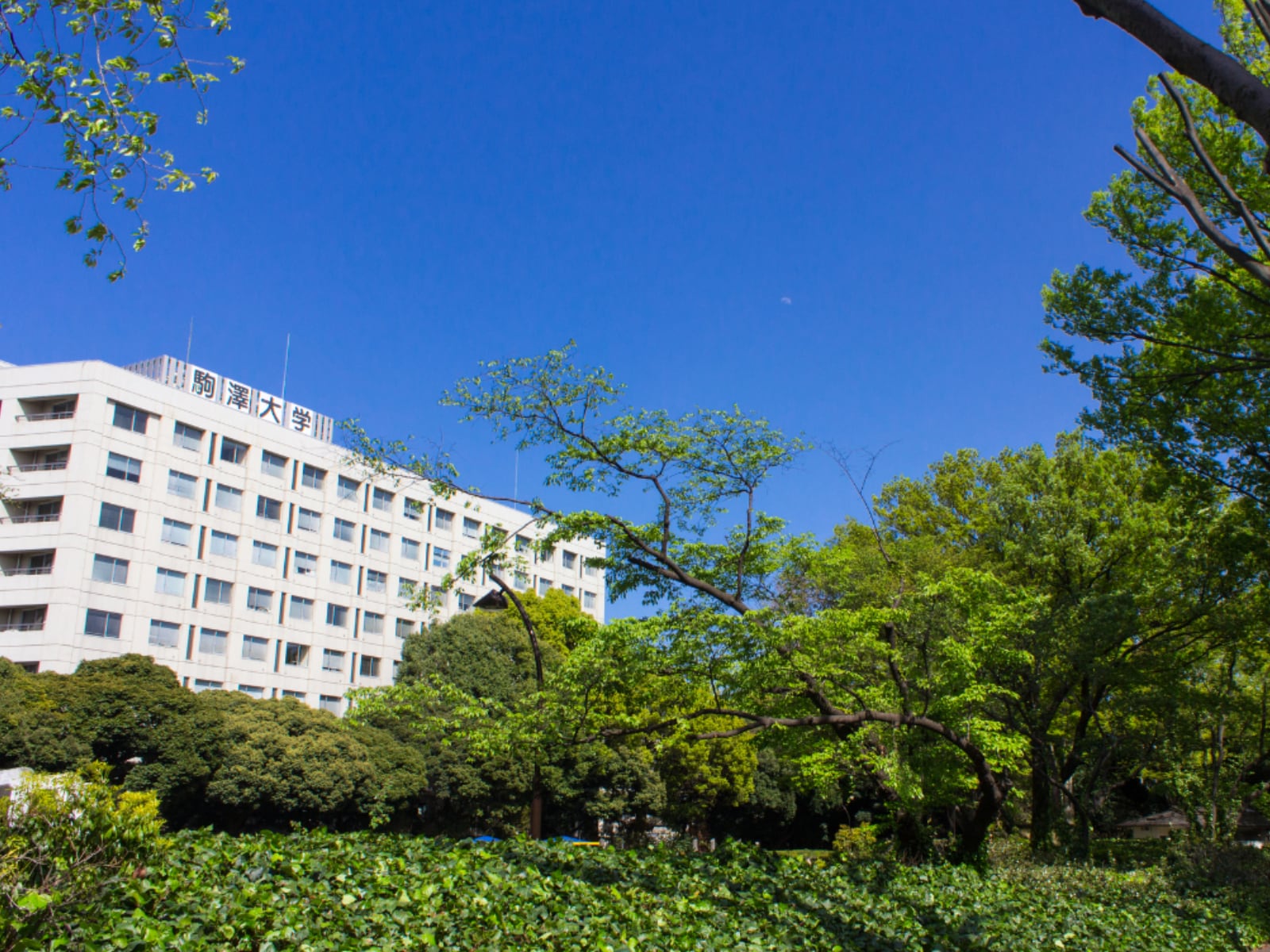 「日東駒専の中で最もお金持ちなイメージがある大学」ランキング