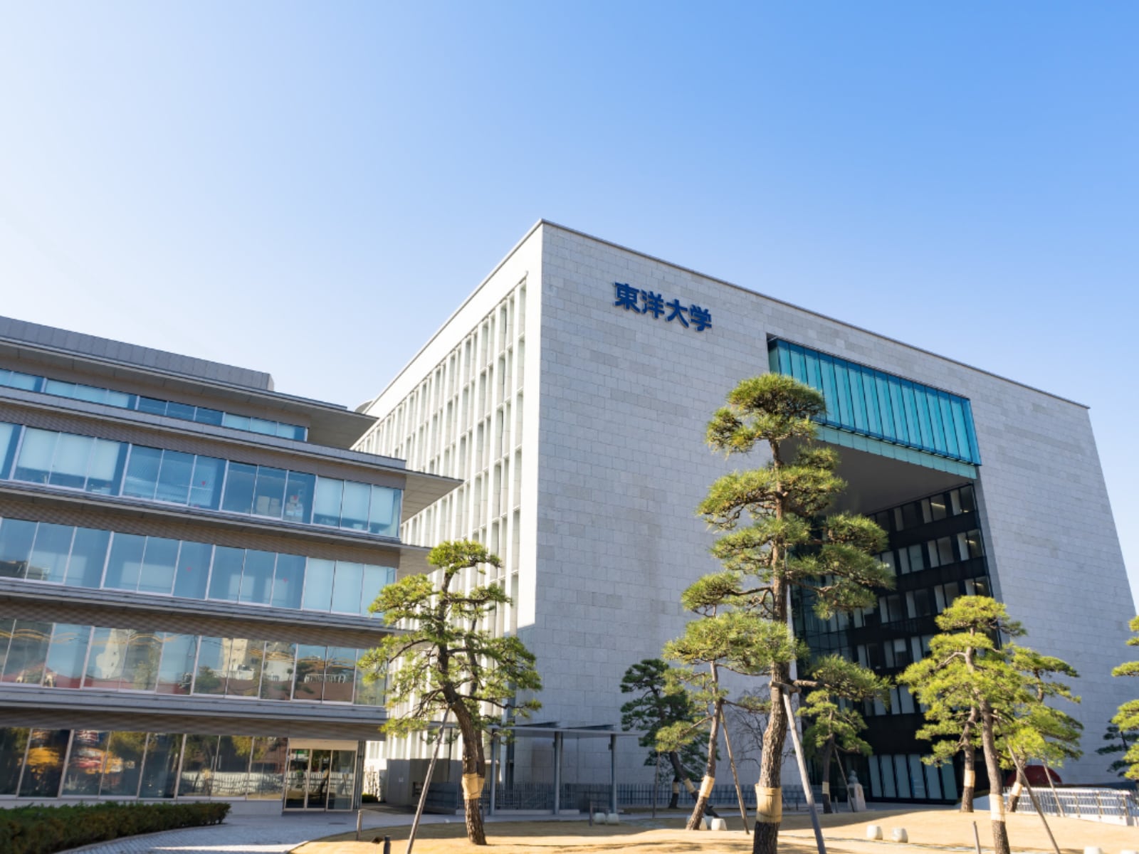 「日東駒専の中で最も優秀な学生が多いと思う大学」ランキング