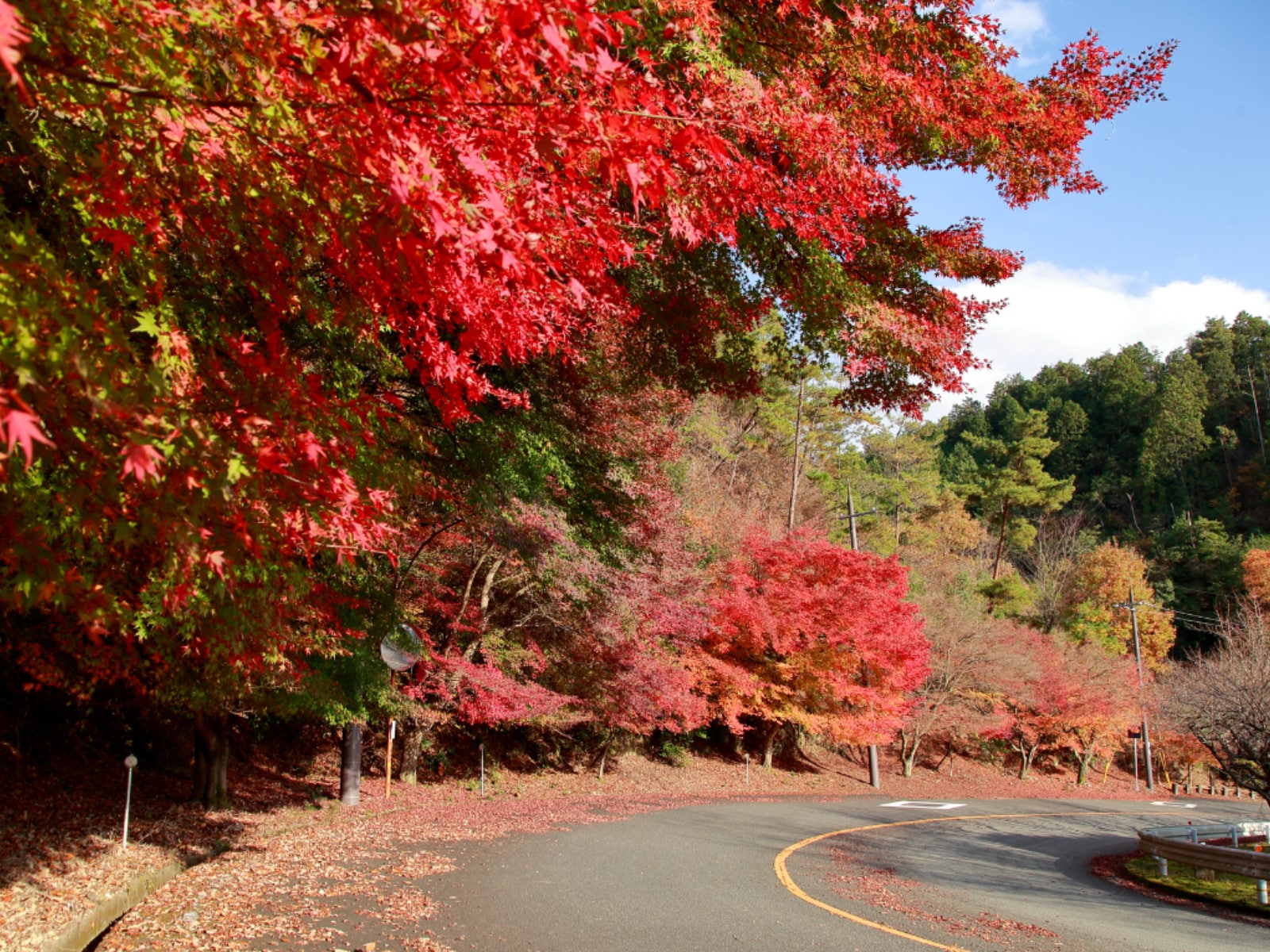 「京都府の絶景ドライブスポット」ランキング