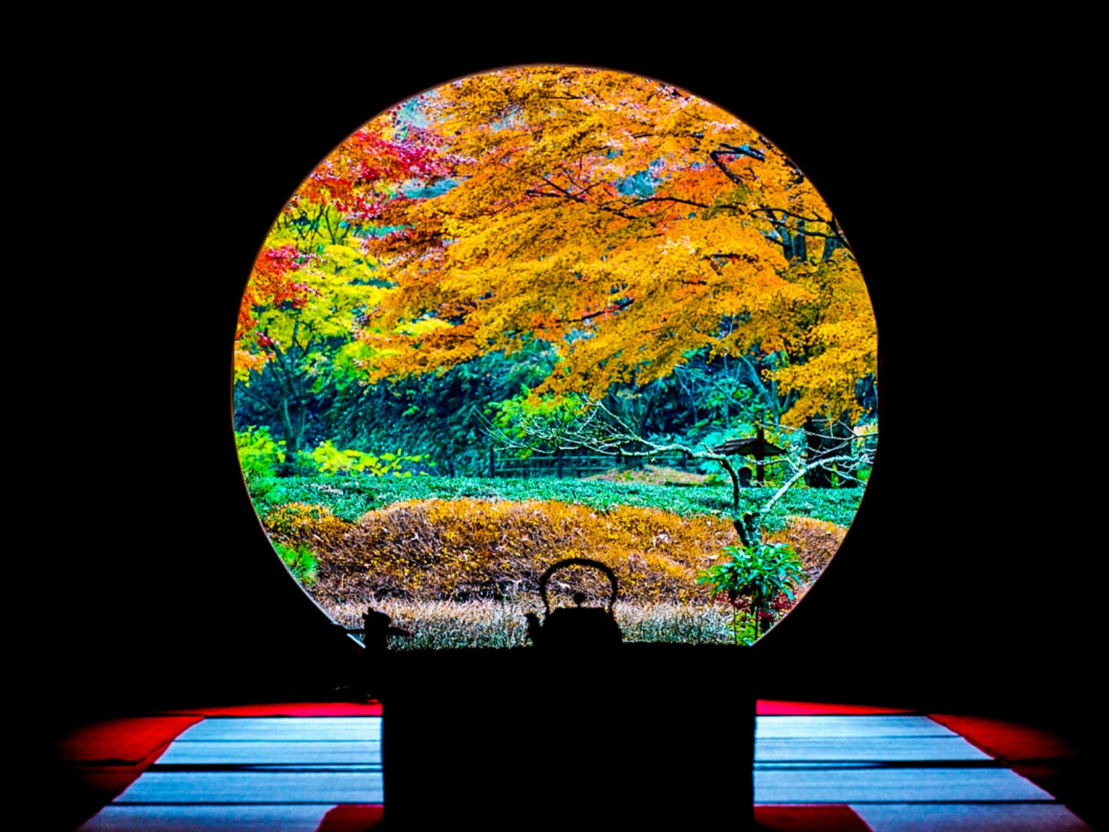 秋に行きたいと思う「神奈川県の絶景スポット」ランキング