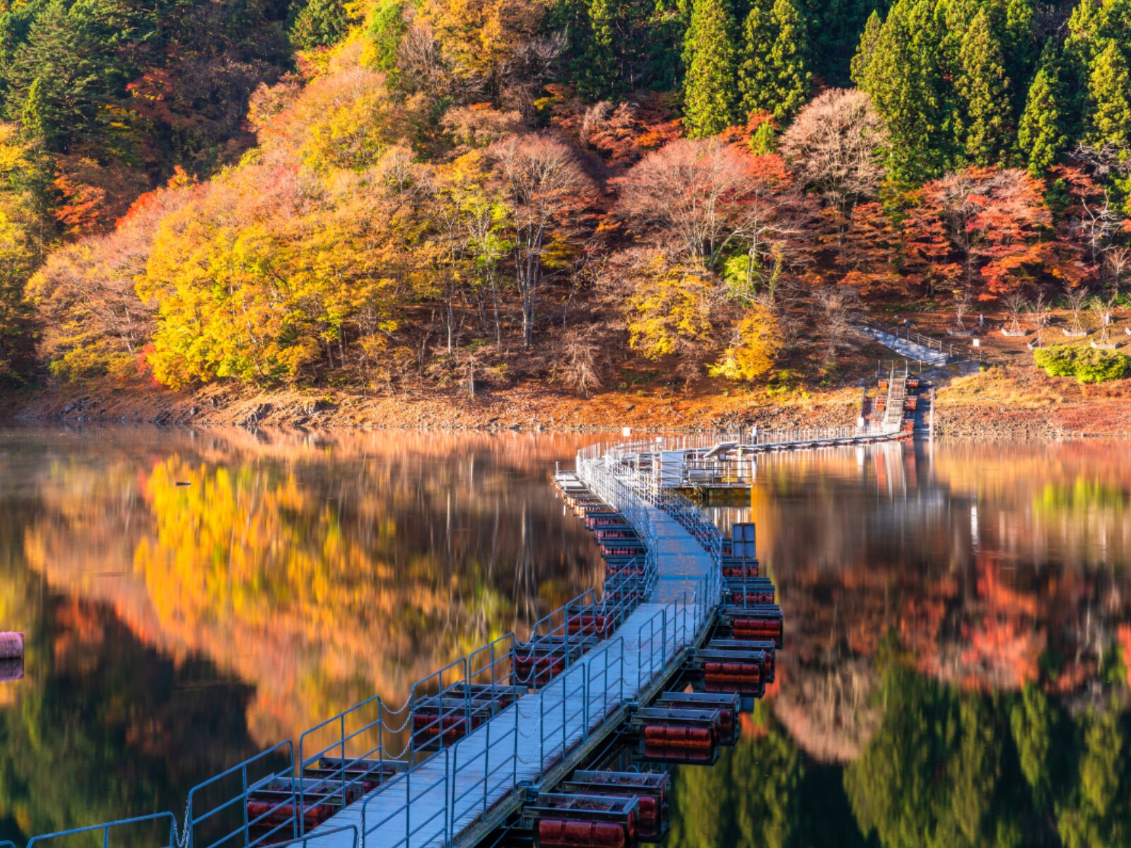 秋に行きたいと思う「東京都の絶景スポット」ランキング