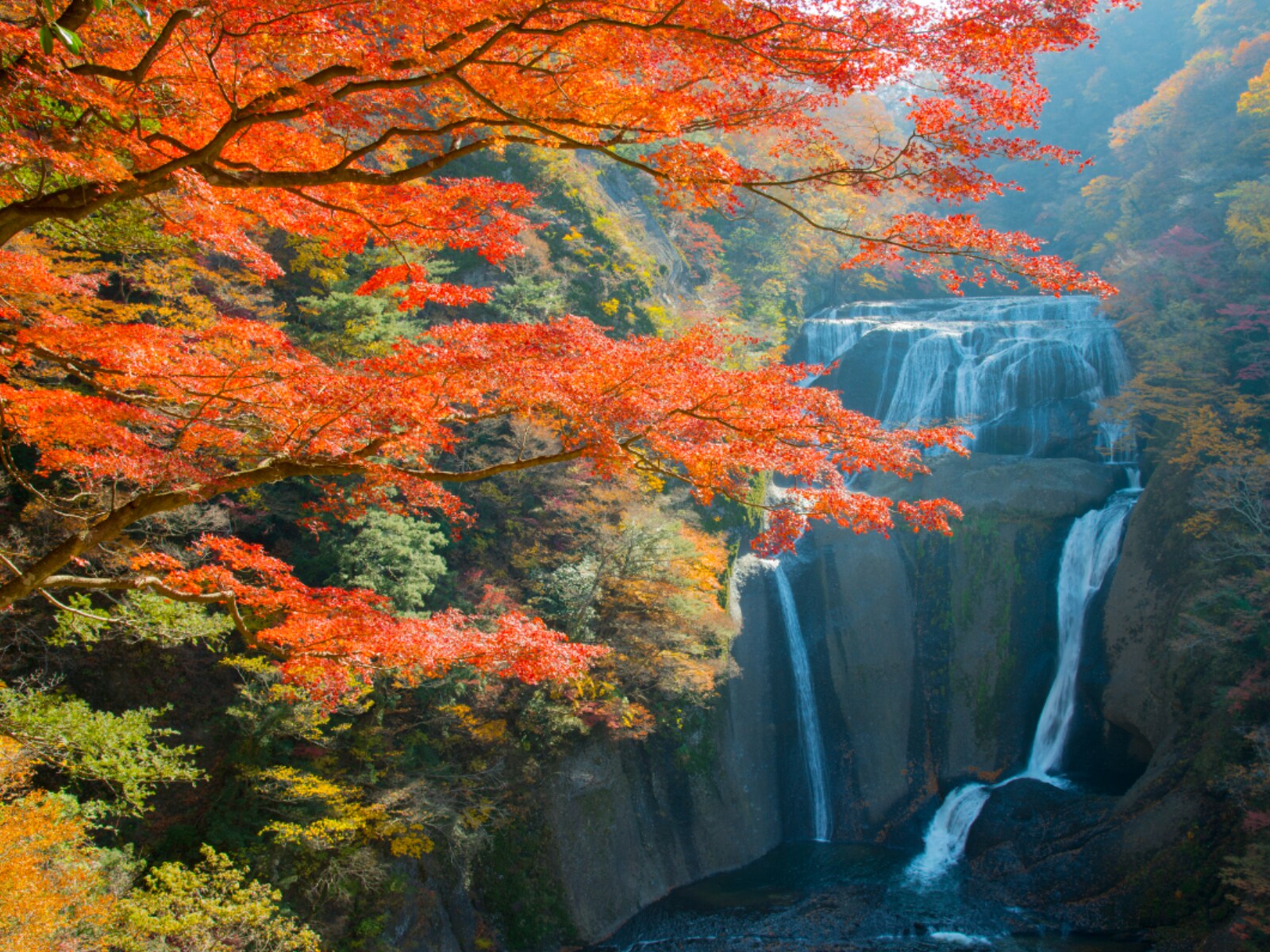 秋に行きたいと思う「茨城県の絶景スポット」ランキング
