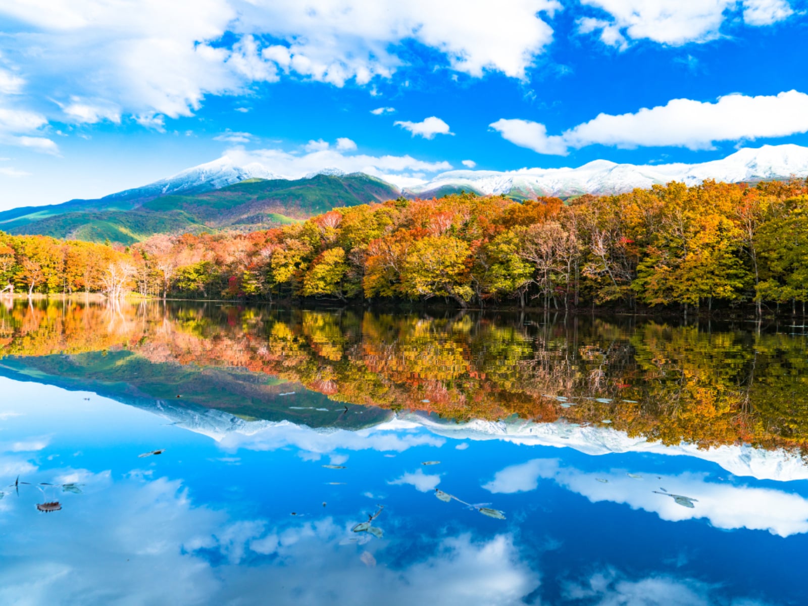 「秋に行きたいと思う「北海道の絶景スポット」」ランキング