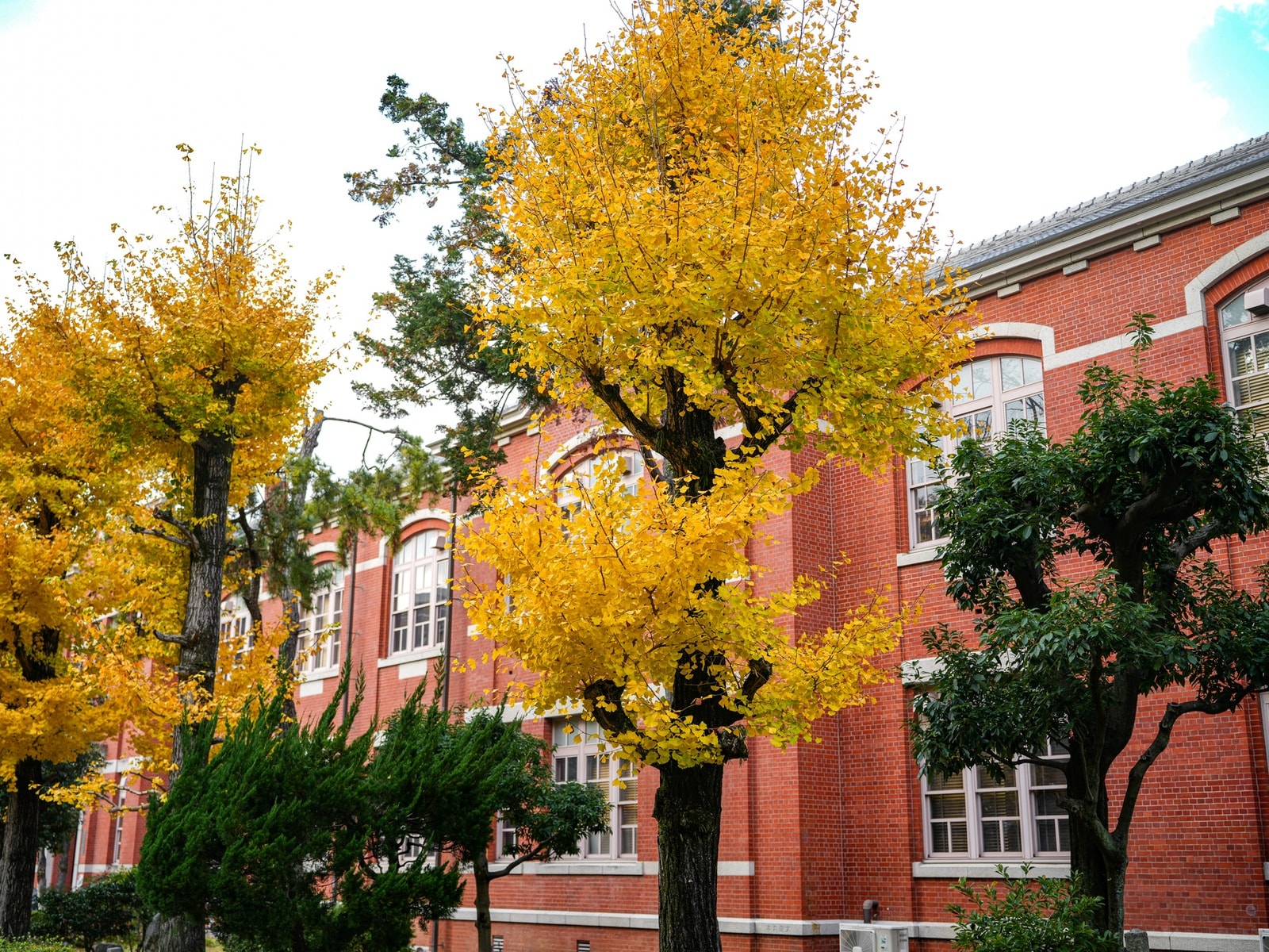 「実績のある卒業生が多い」と思う日本の大学ランキング