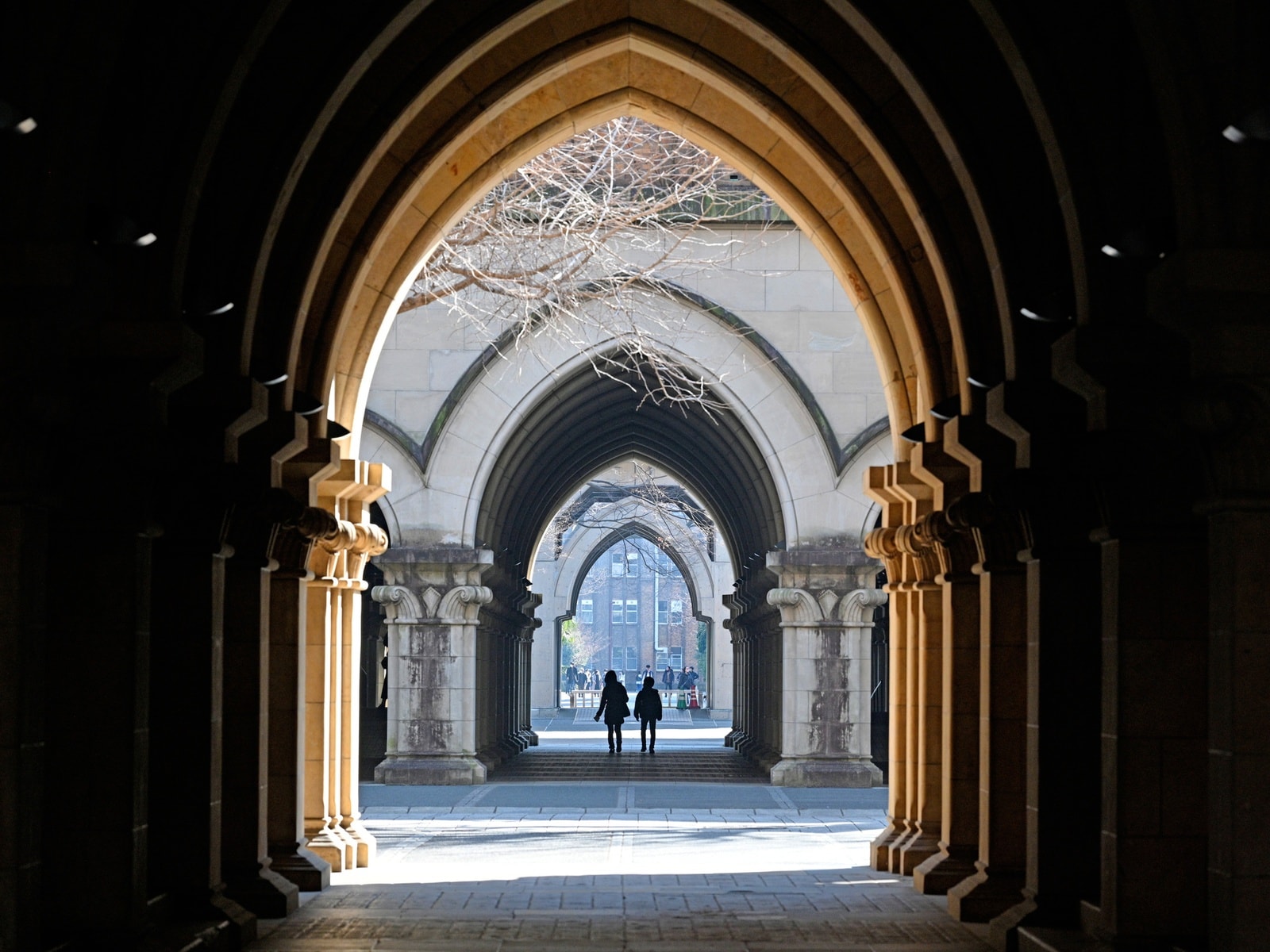 「ビジネス界でのリーダーを多く輩出している」と思う日本の大学ランキング