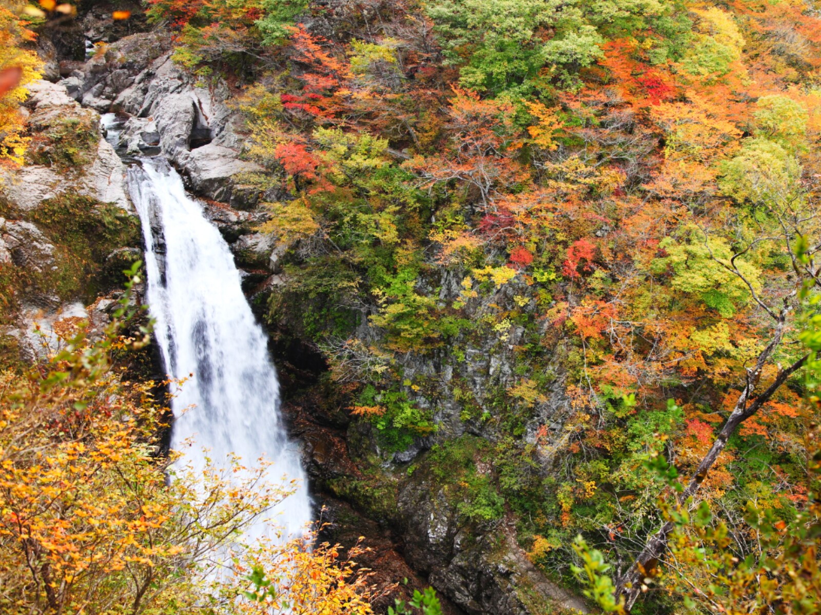 「秋に行きたいと思う「宮城県の絶景スポット」」ランキング