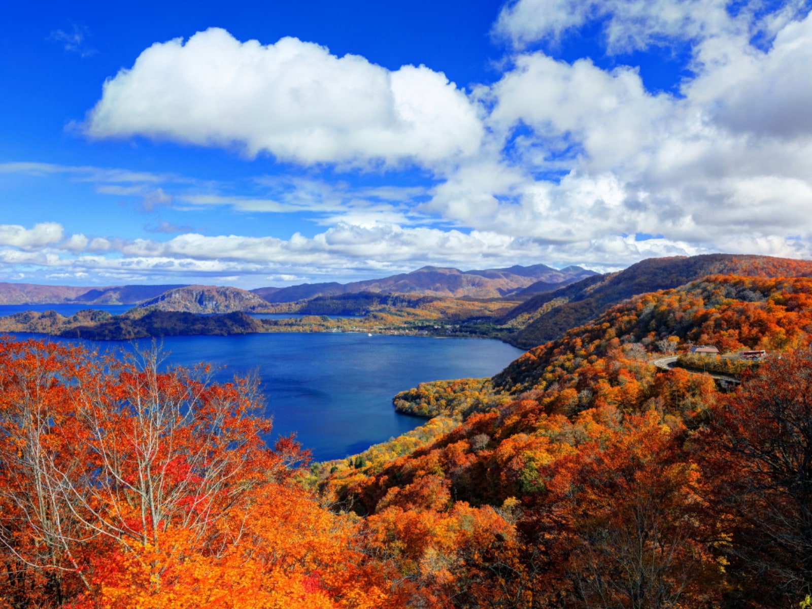 「秋に行きたいと思う「秋田県の絶景スポット」」ランキング