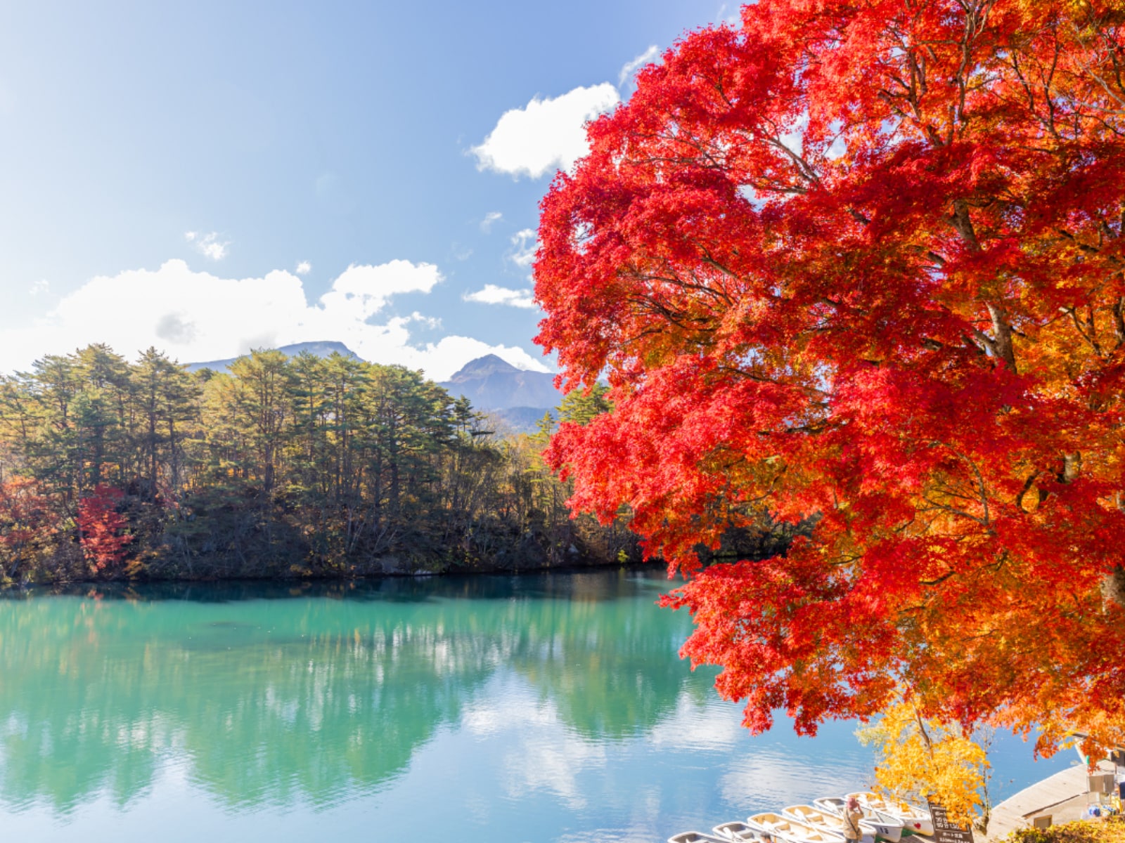 「秋に行きたいと思う「福島県の絶景スポット」」ランキング