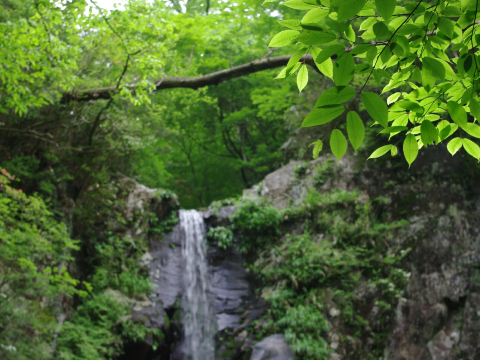 「静岡県で秋に行きたい滝」ランキング