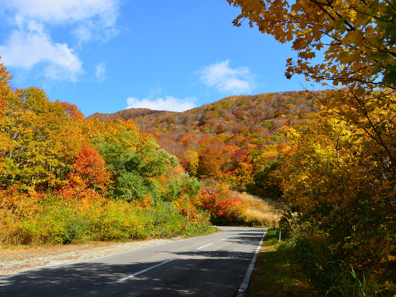 「秋に行きたい福島県の絶景ドライブスポット」ランキング