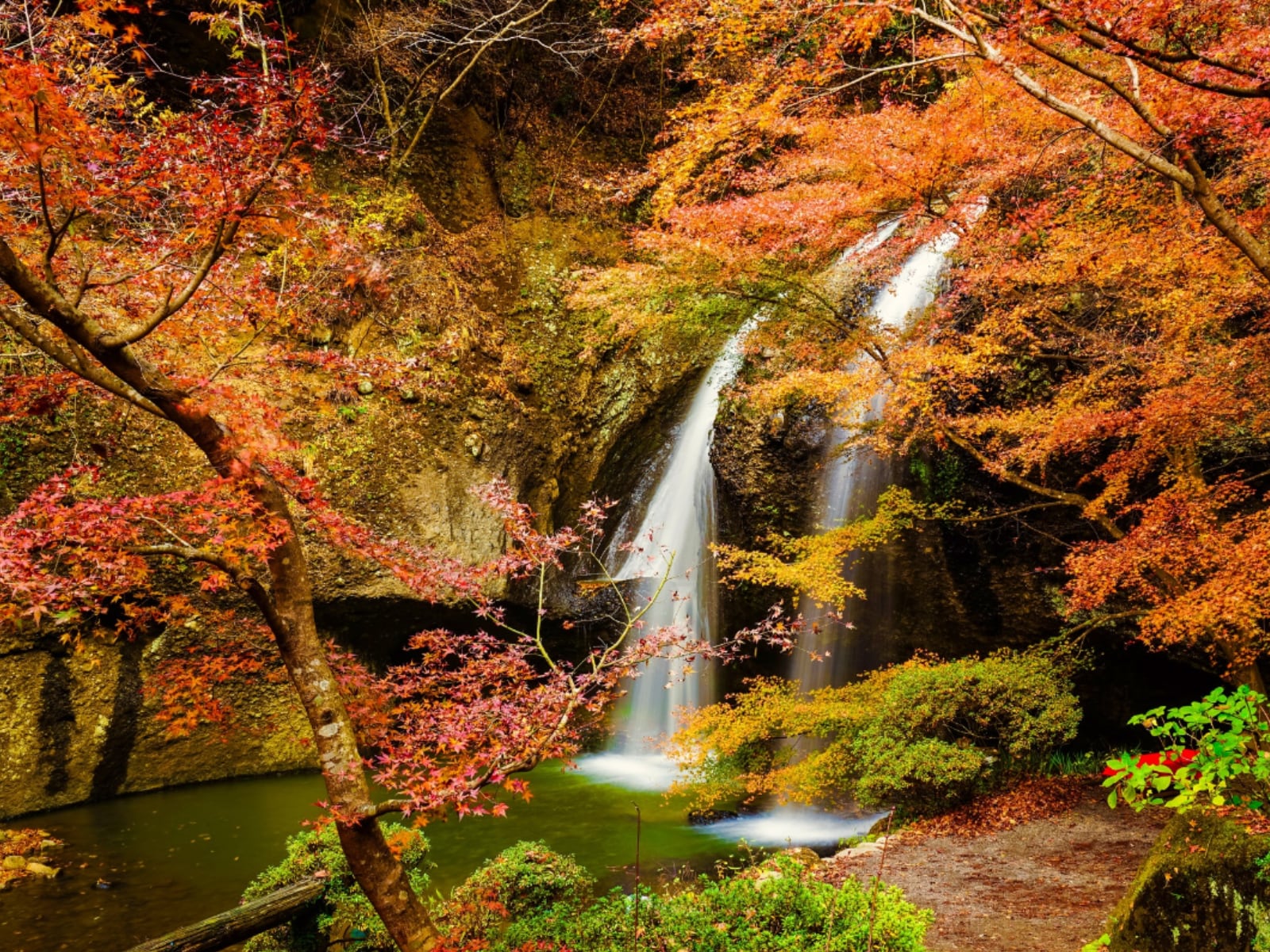 茨城県で「秋に行きたい滝」ランキング