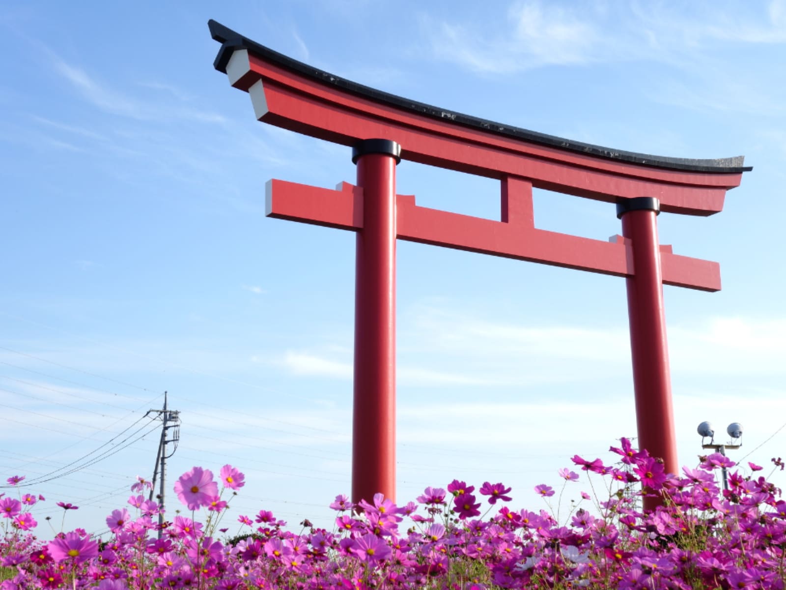 「群馬県の市で『名前がかっこいい』と思う市」ランキング