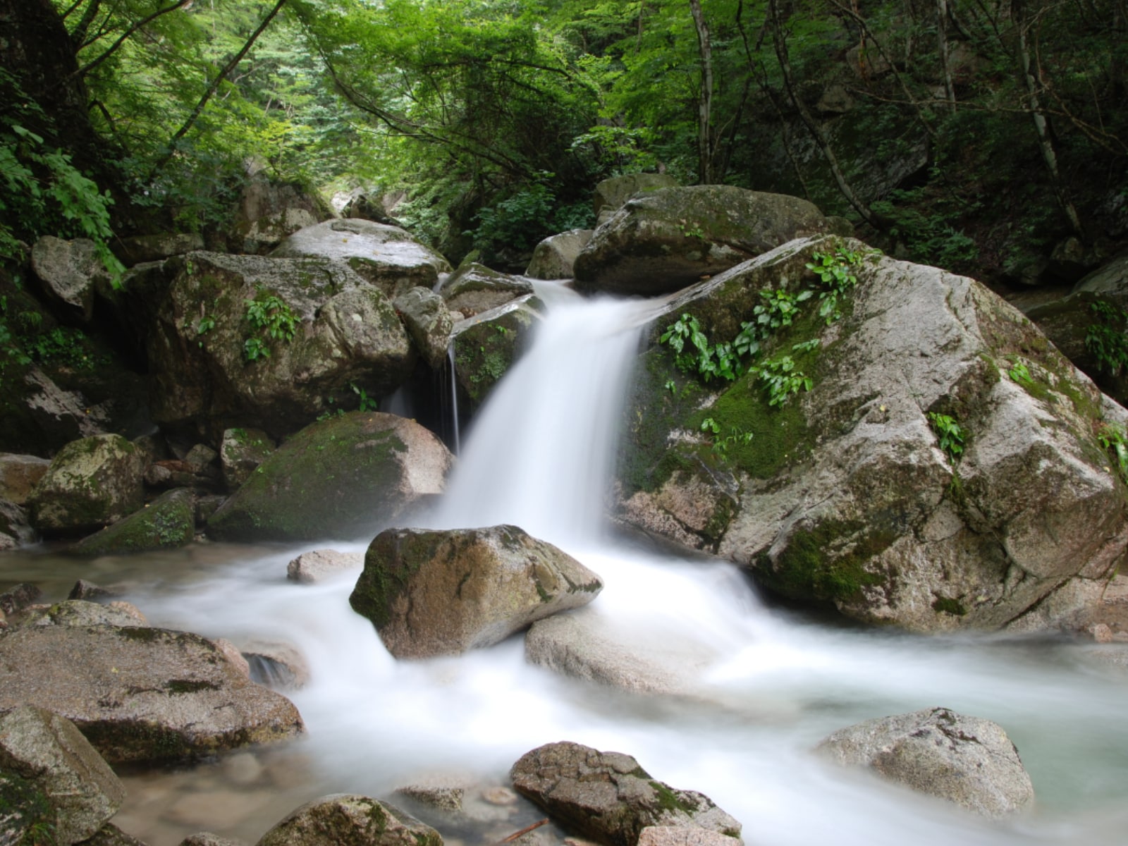 「秋に行きたい滋賀県の穴場秘境」ランキング