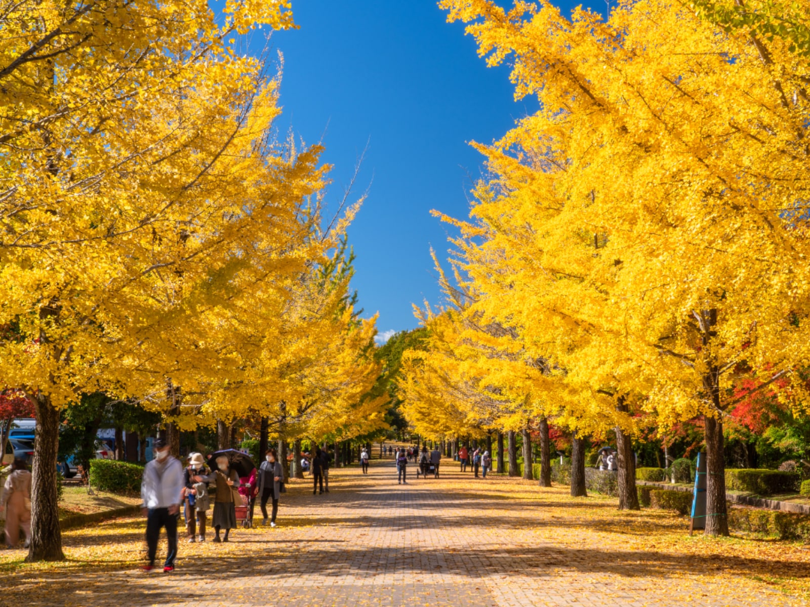「治安がいい」と思う埼玉県の市ランキングの画像