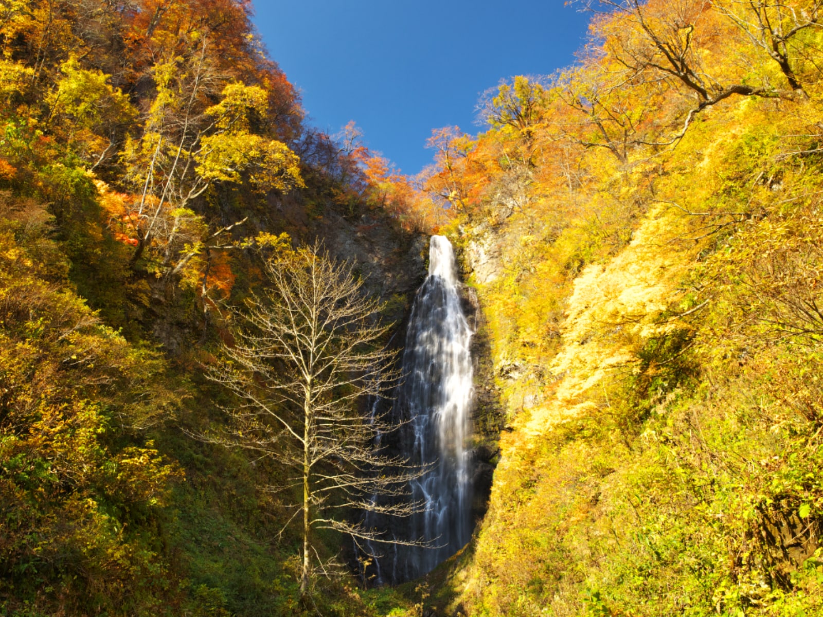 「青森県の穴場秘境」ランキングの画像