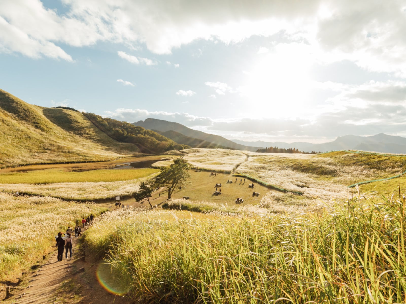 「奈良県の絶景スポット」ランキング