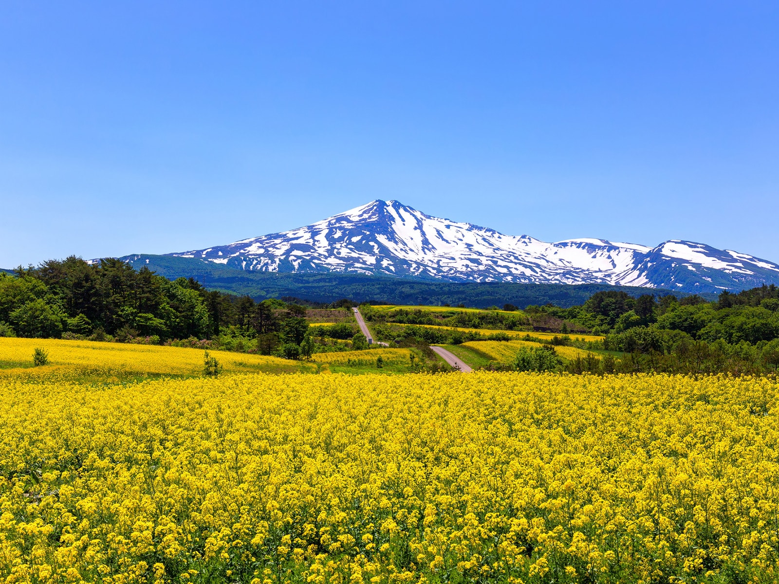 「秋田県の市で名前がかっこいいと思う市」ランキング