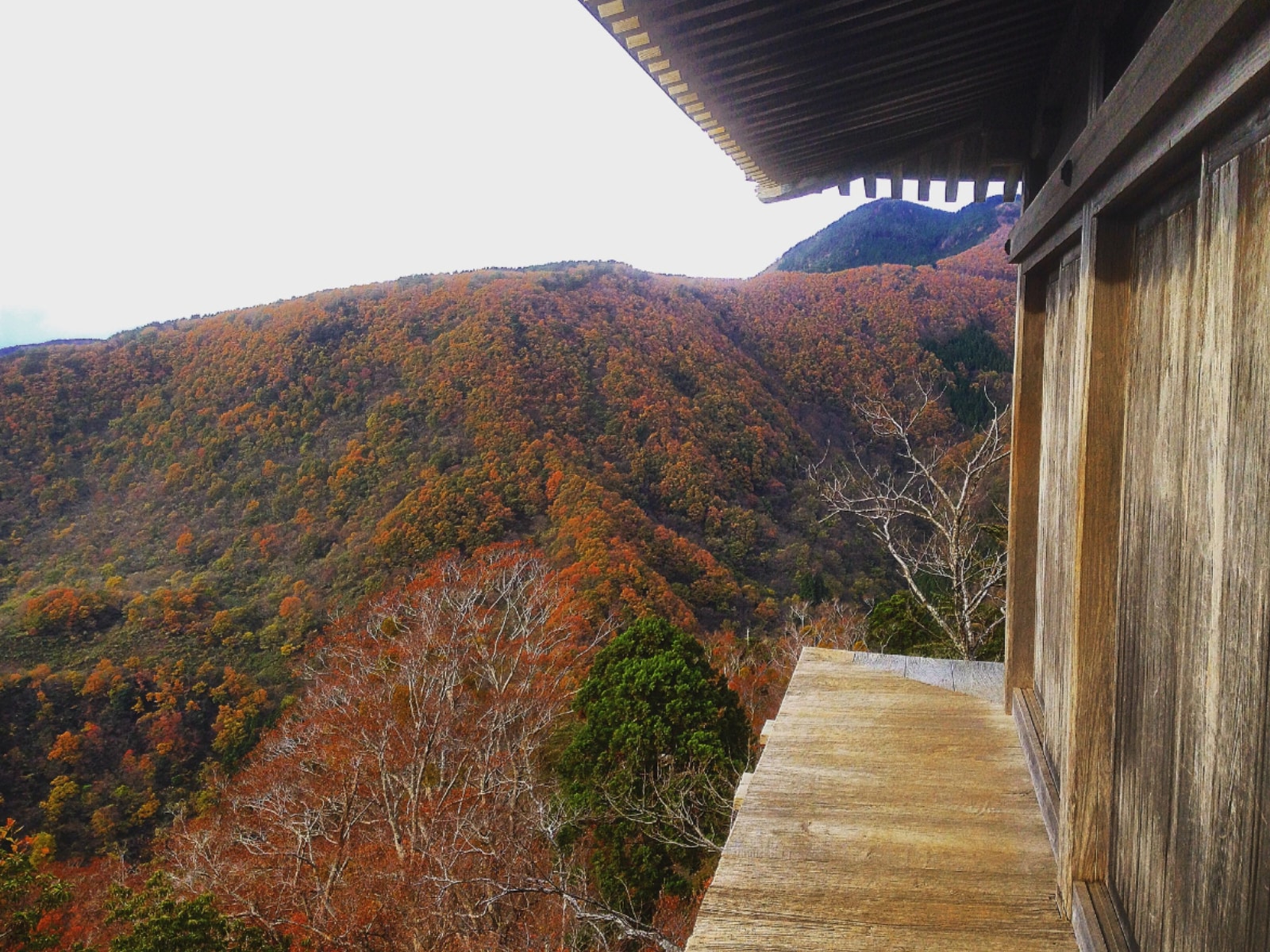 「秋に行きたいと思う鳥取県の絶景スポット」ランキング