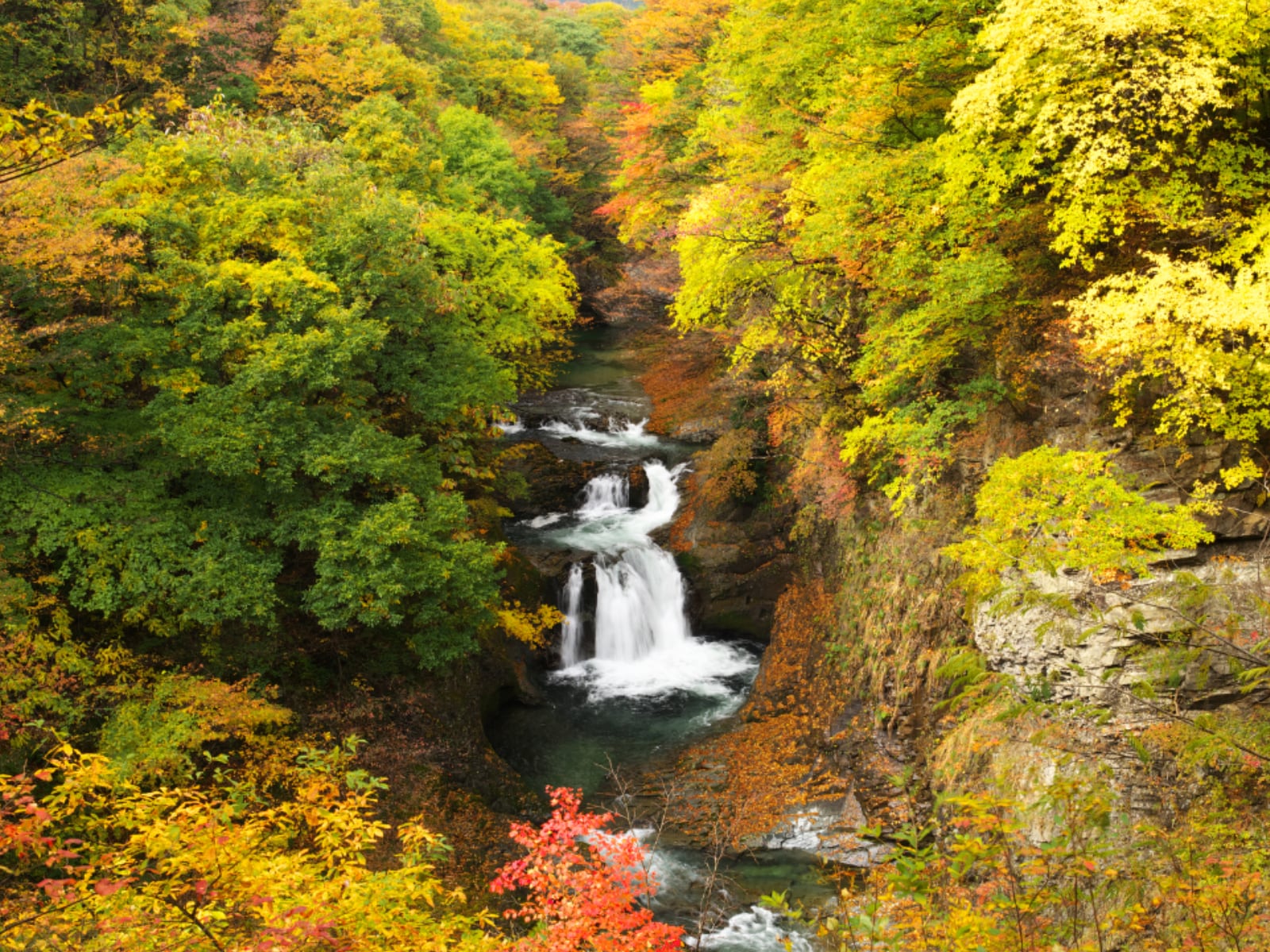 宮城県で「秋に行きたい滝」ランキングの画像