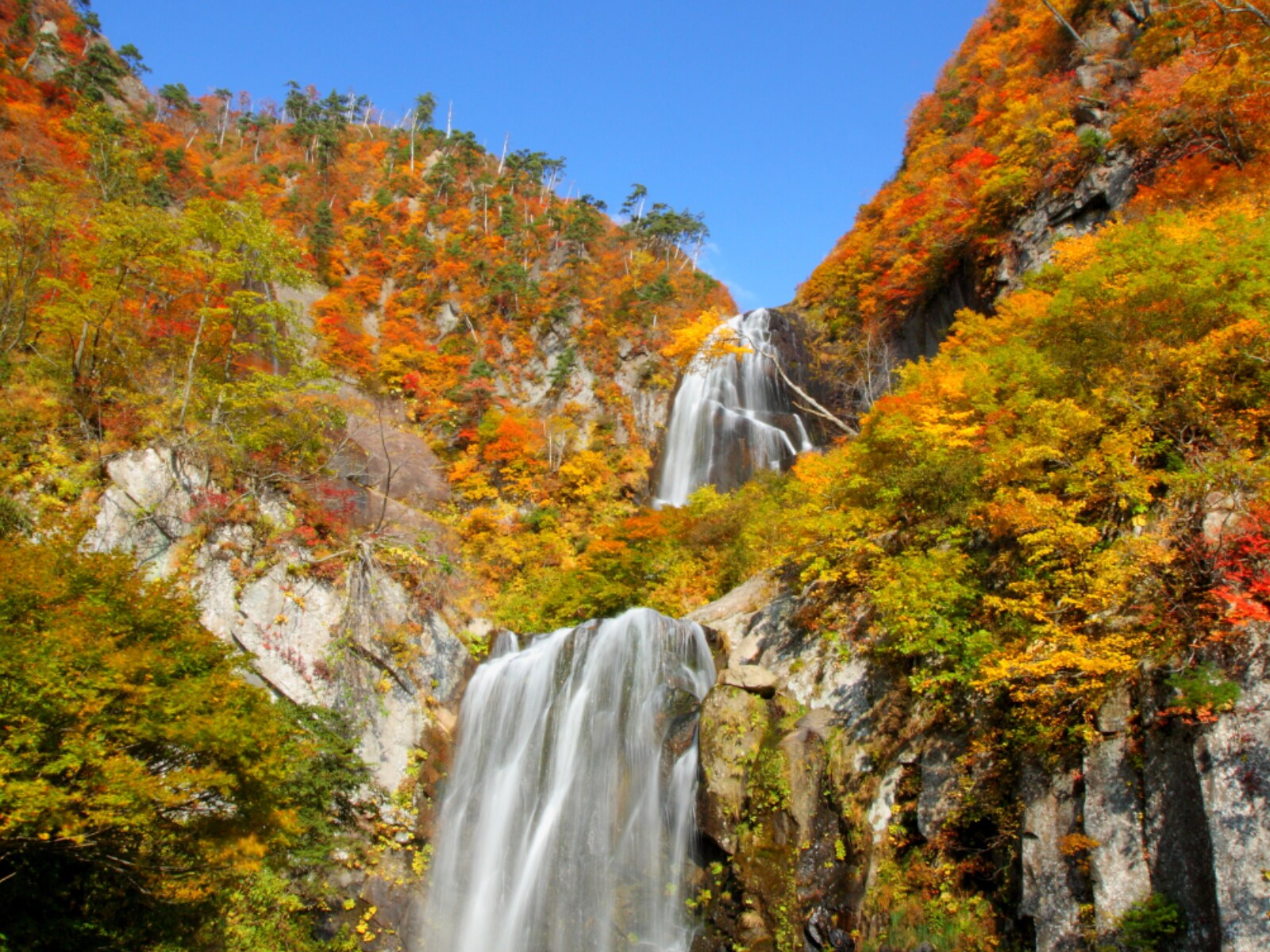 秋田県で「秋に行きたい滝」ランキングの画像