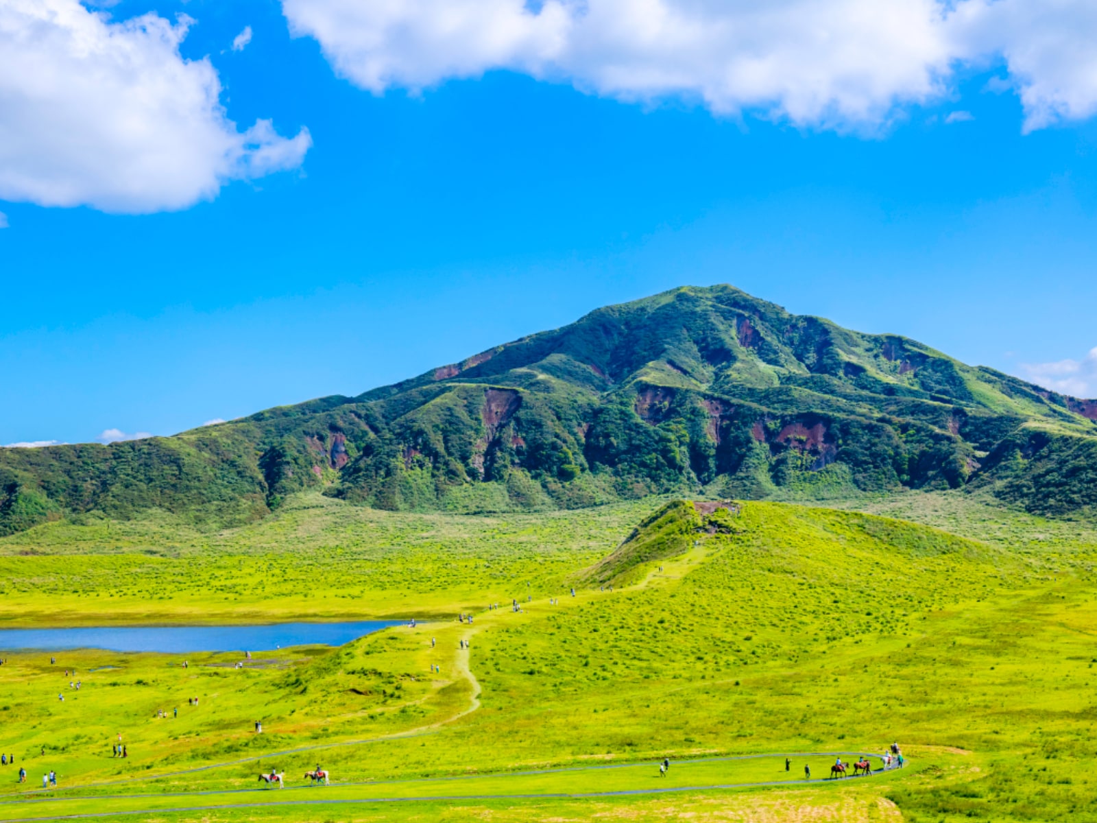 熊本県の市で「治安がいい」と思う市ランキング