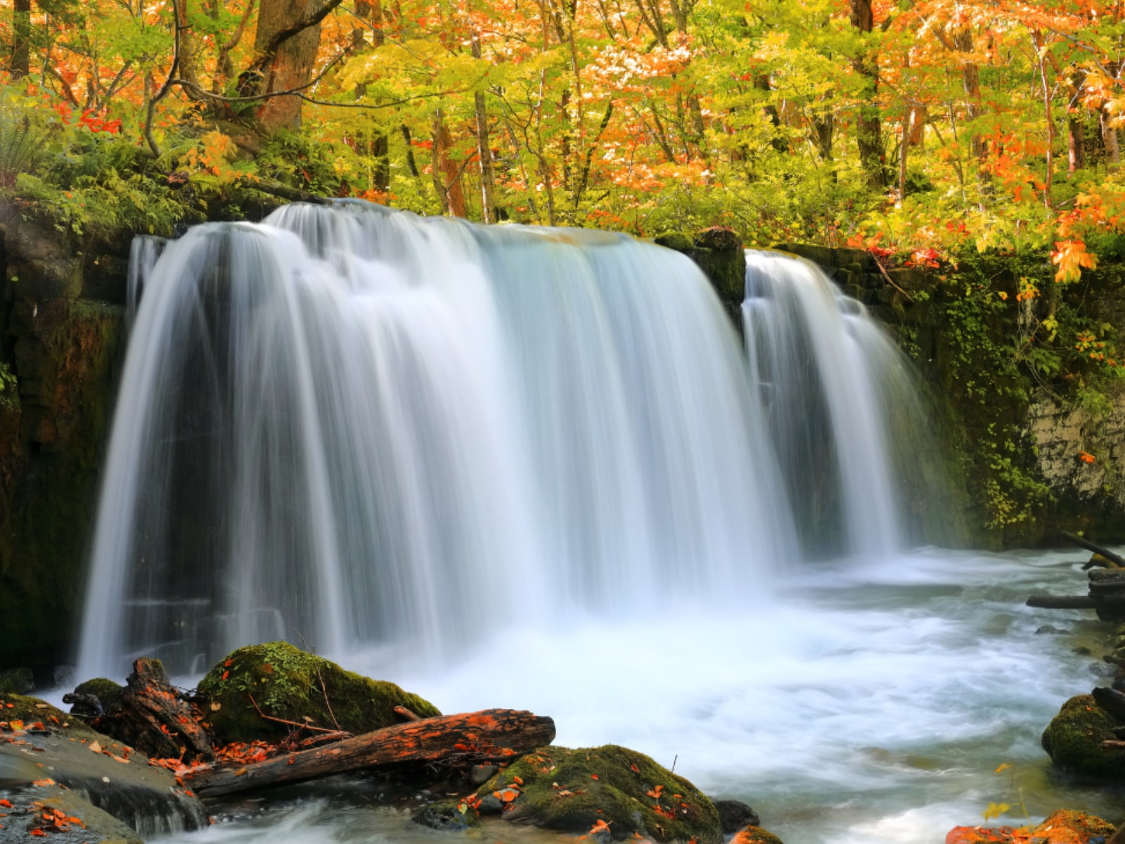青森県で「秋に行きたい滝」ランキングの画像