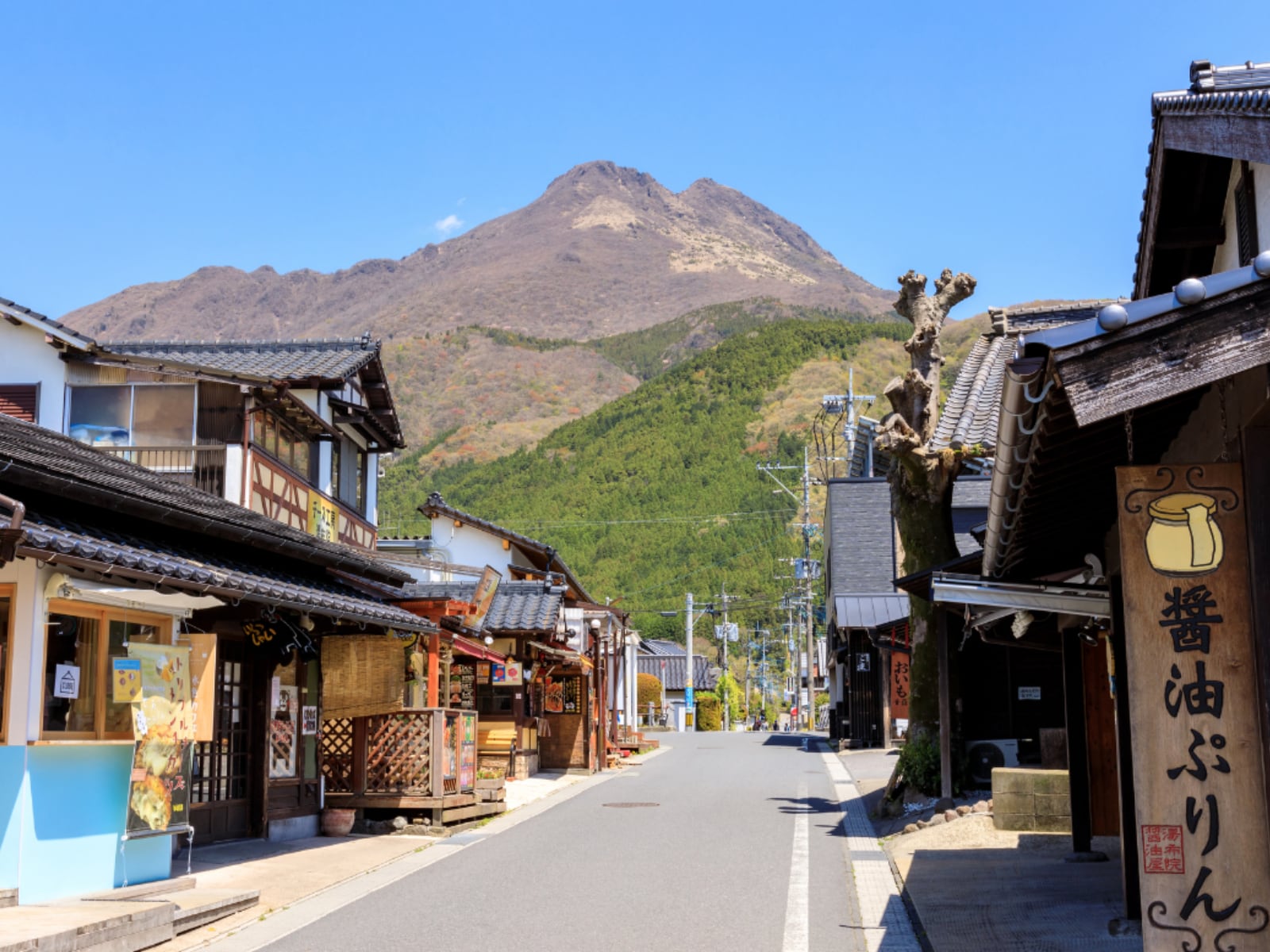 「大分県の市で名前がかっこいいと思う」ランキング