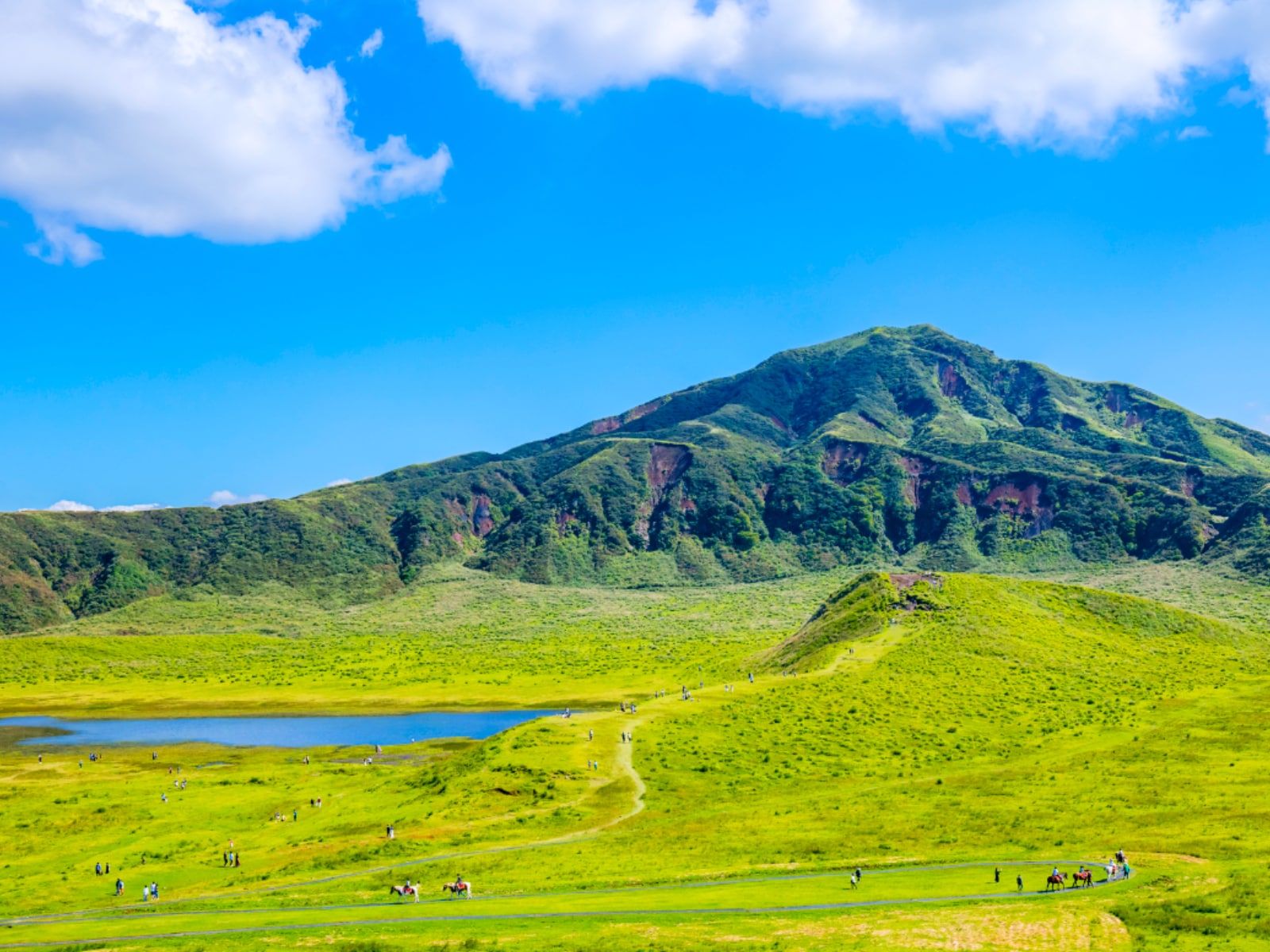「熊本県の市で名前がかっこいいと思う」ランキング