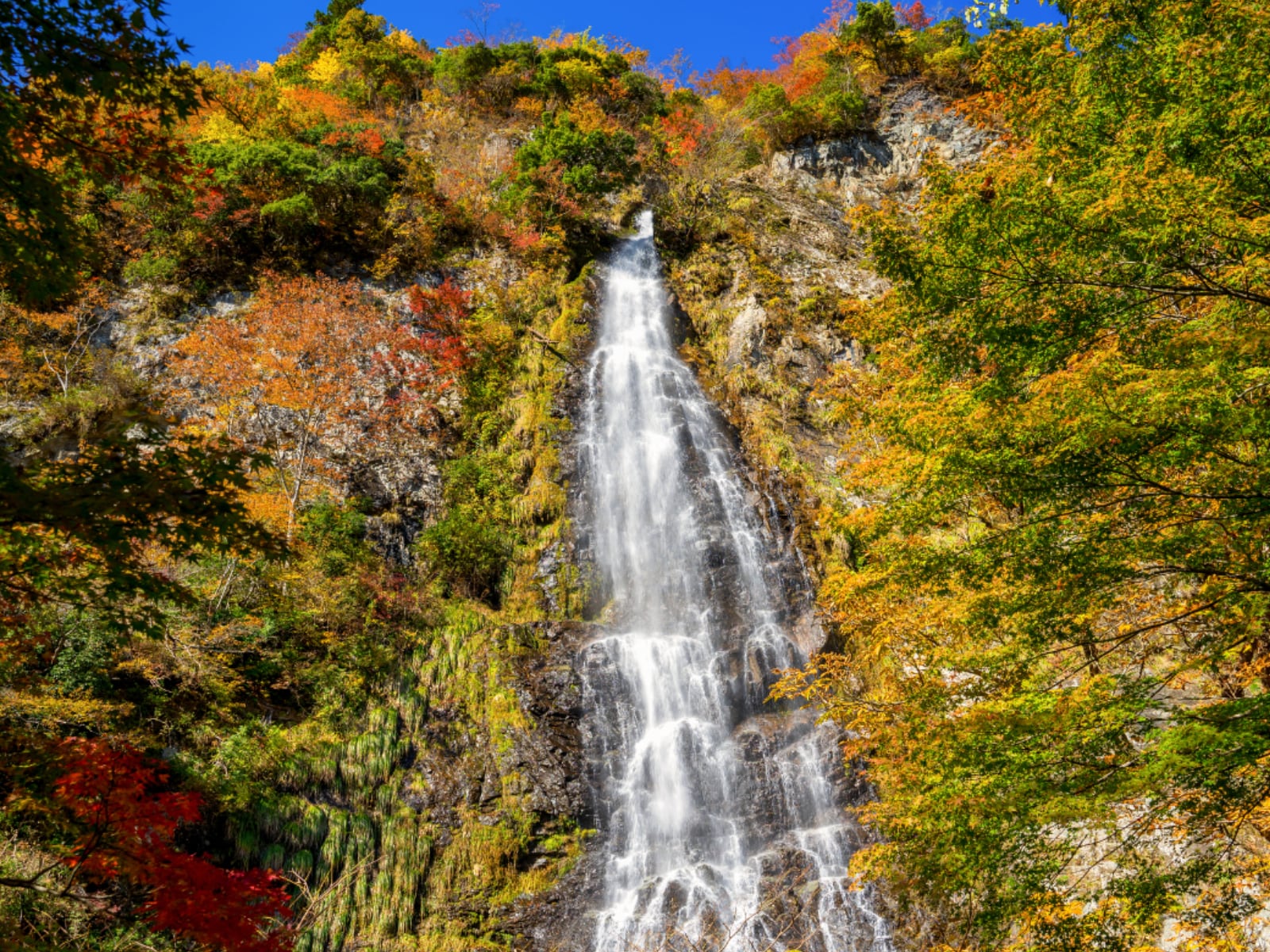 「兵庫県で秋に行きたい滝」ランキング