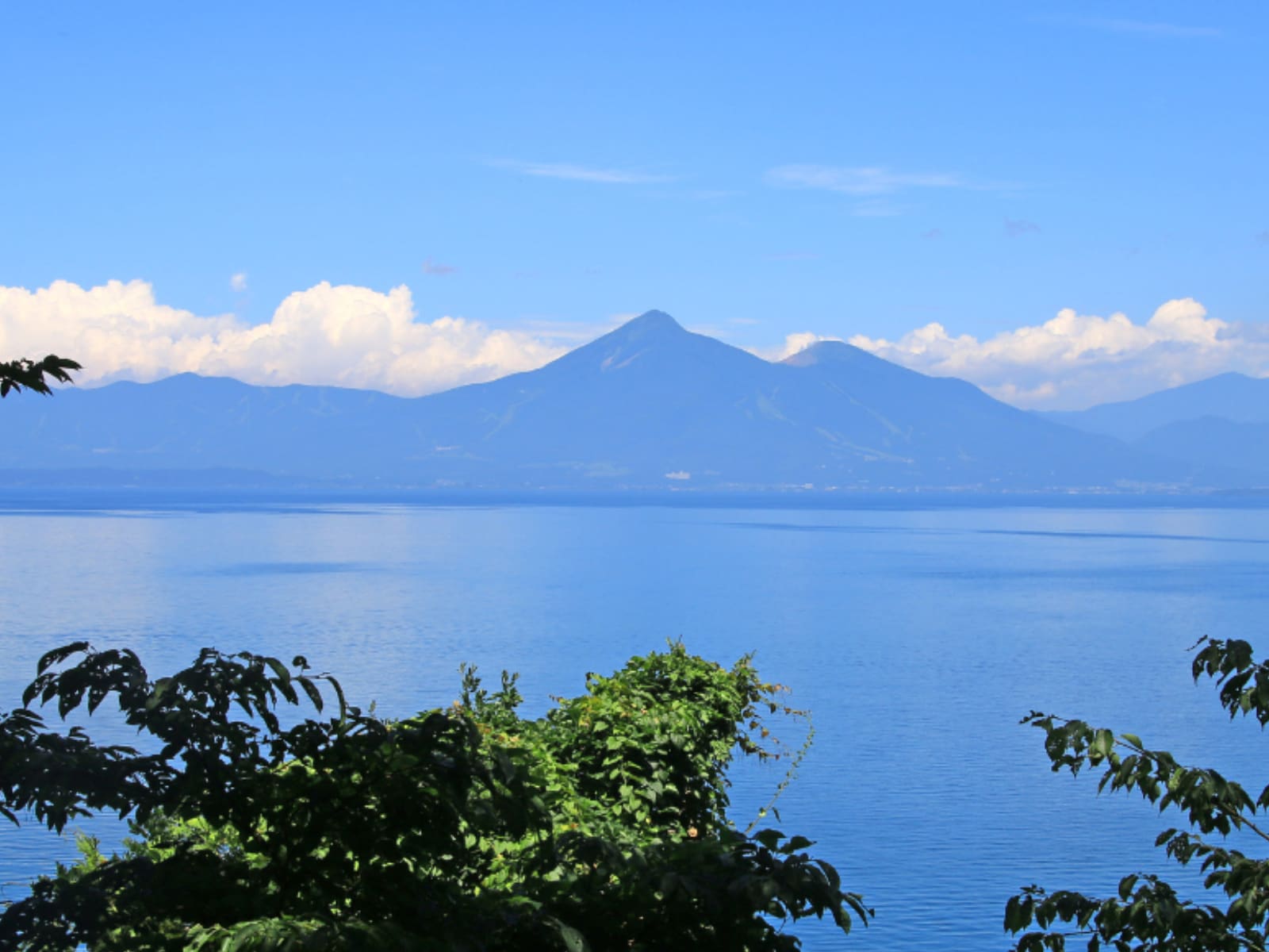 福島県の市で「子育てがしやすい」と思う市ランキング