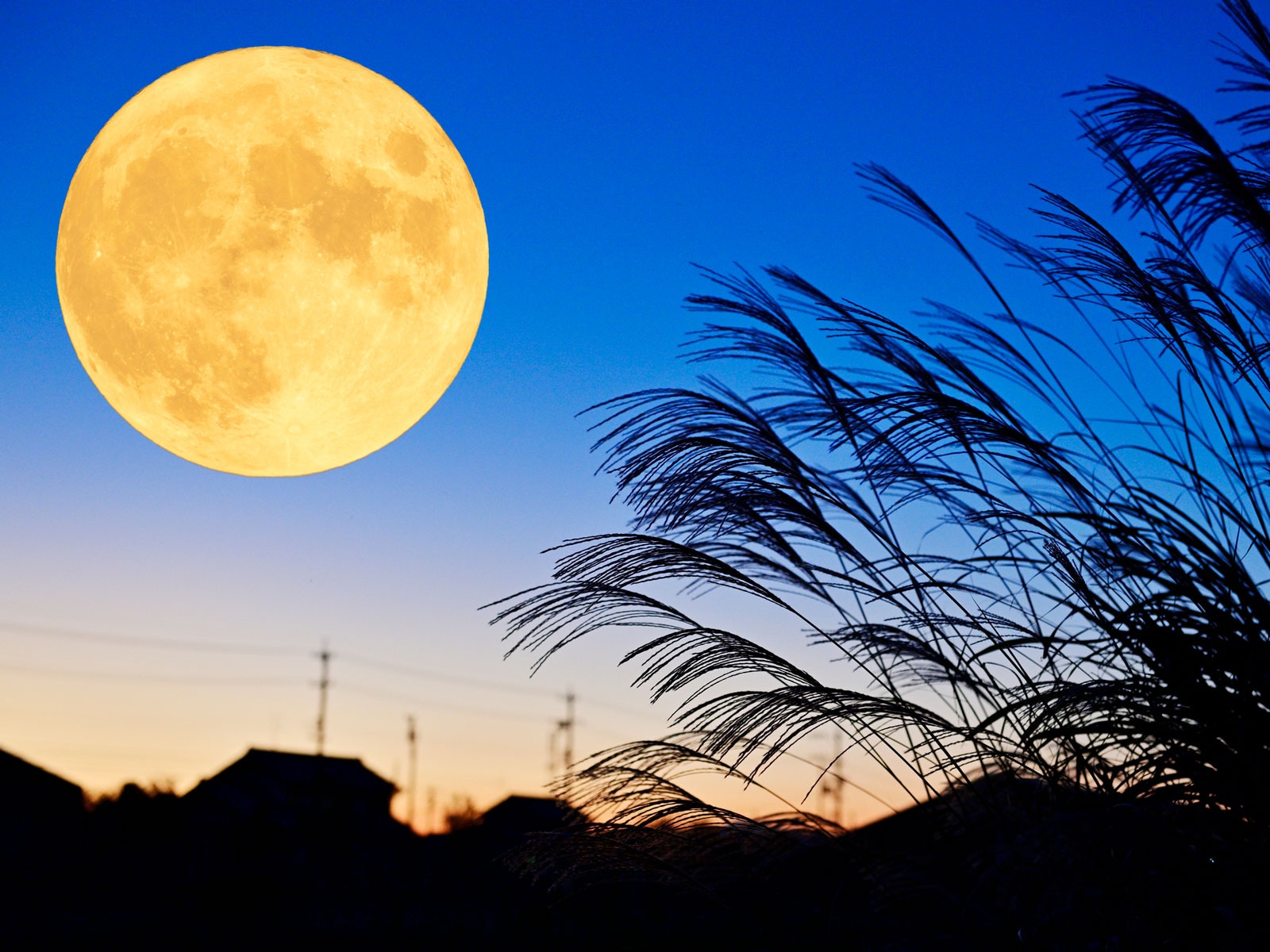 「寅の日×スーパームーン」の最強金運招来日