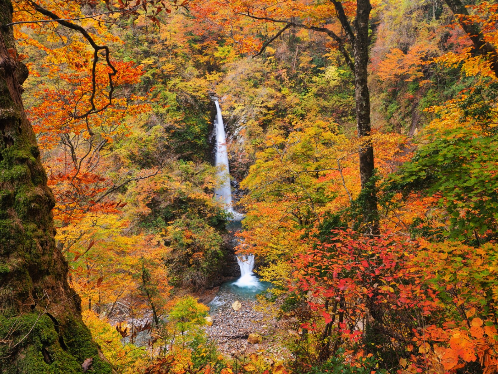 秋に行きたい「鳥取県の滝」ランキング