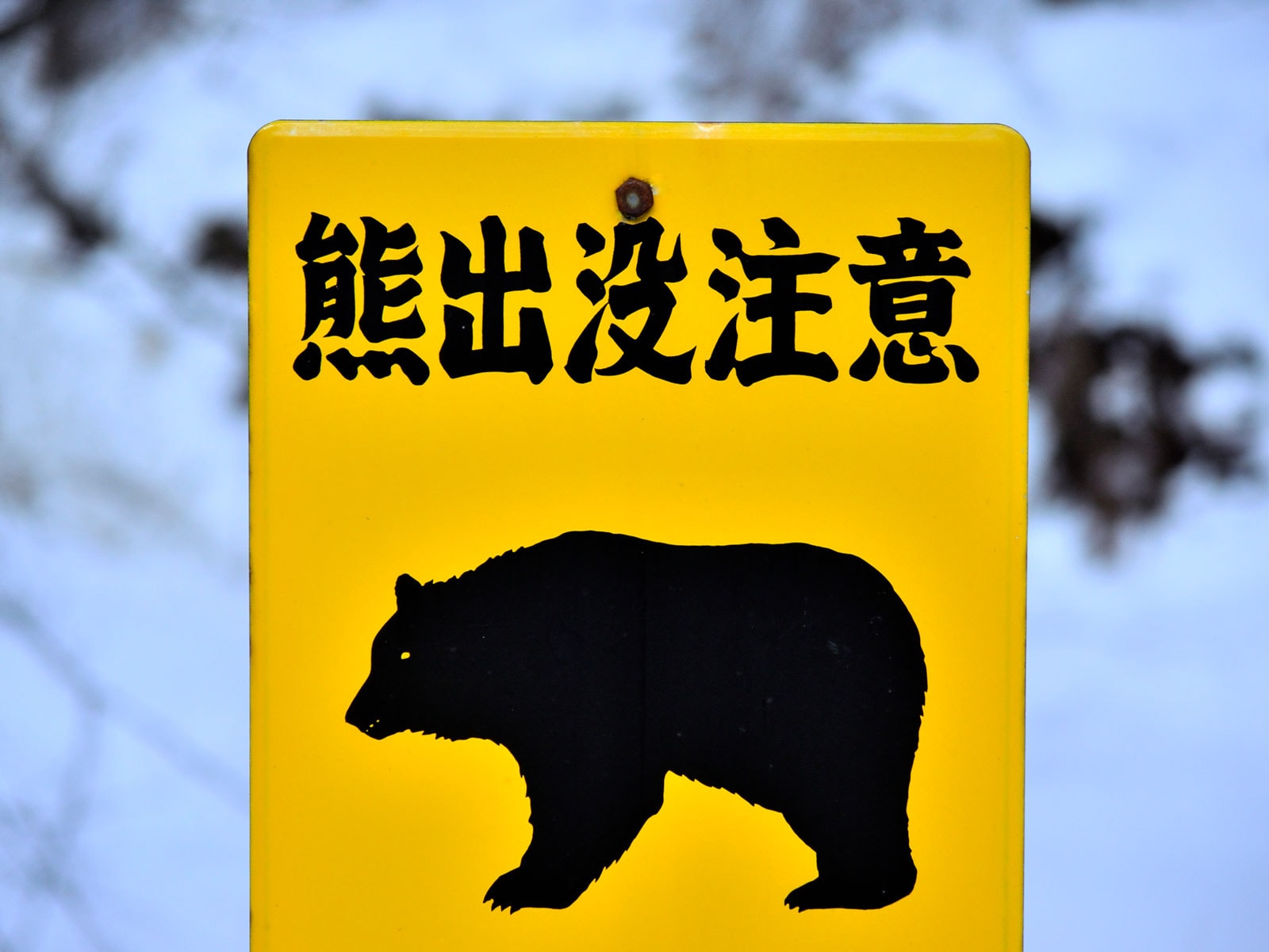 （画像出典：PIXTA）