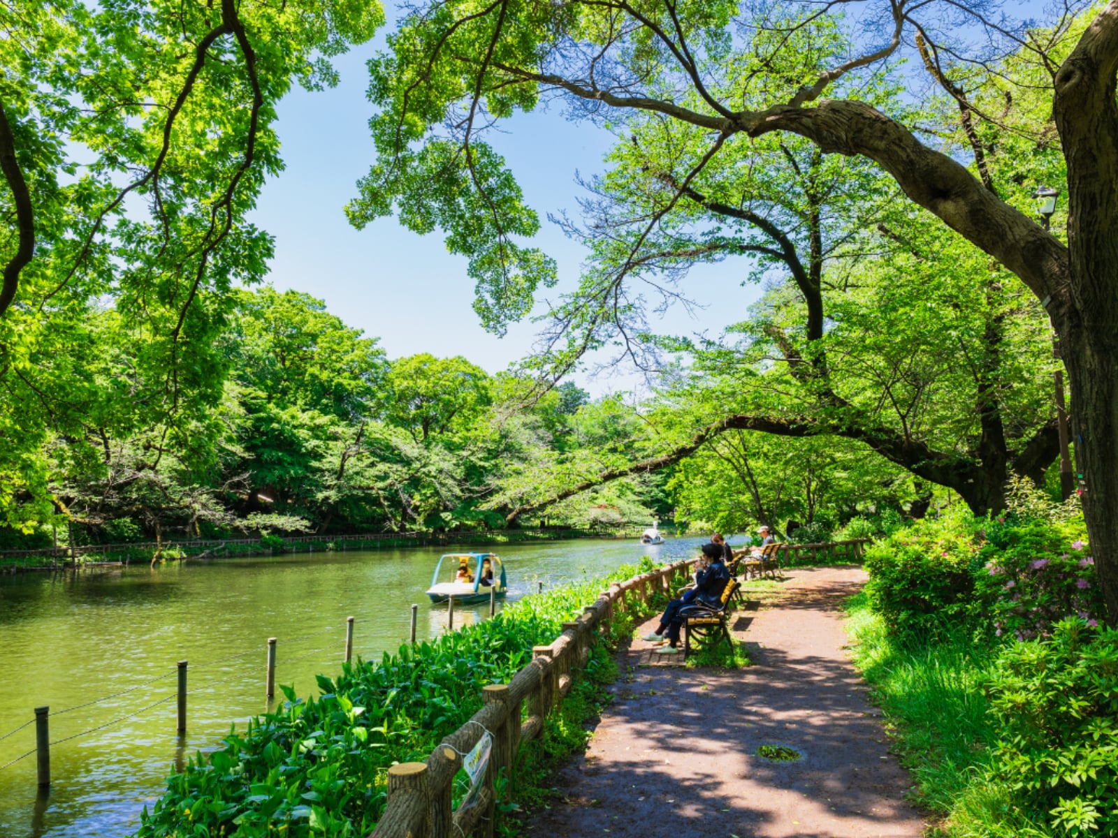 「東京都の市（23区以外）で「お金持ちが多そう」と思う市」ランキング