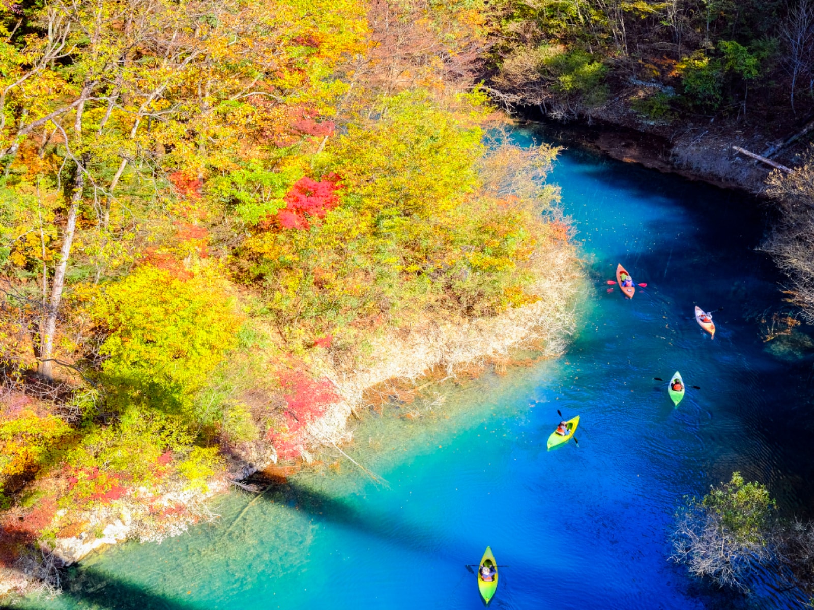 「好き＆ビールを飲んでみたい群馬県のクラフトビールブルワリー」ランキング