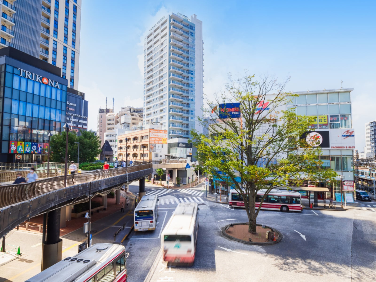 「好き＆ビールを飲んでみたい東京都のクラフトビールブルワリー」ランキング