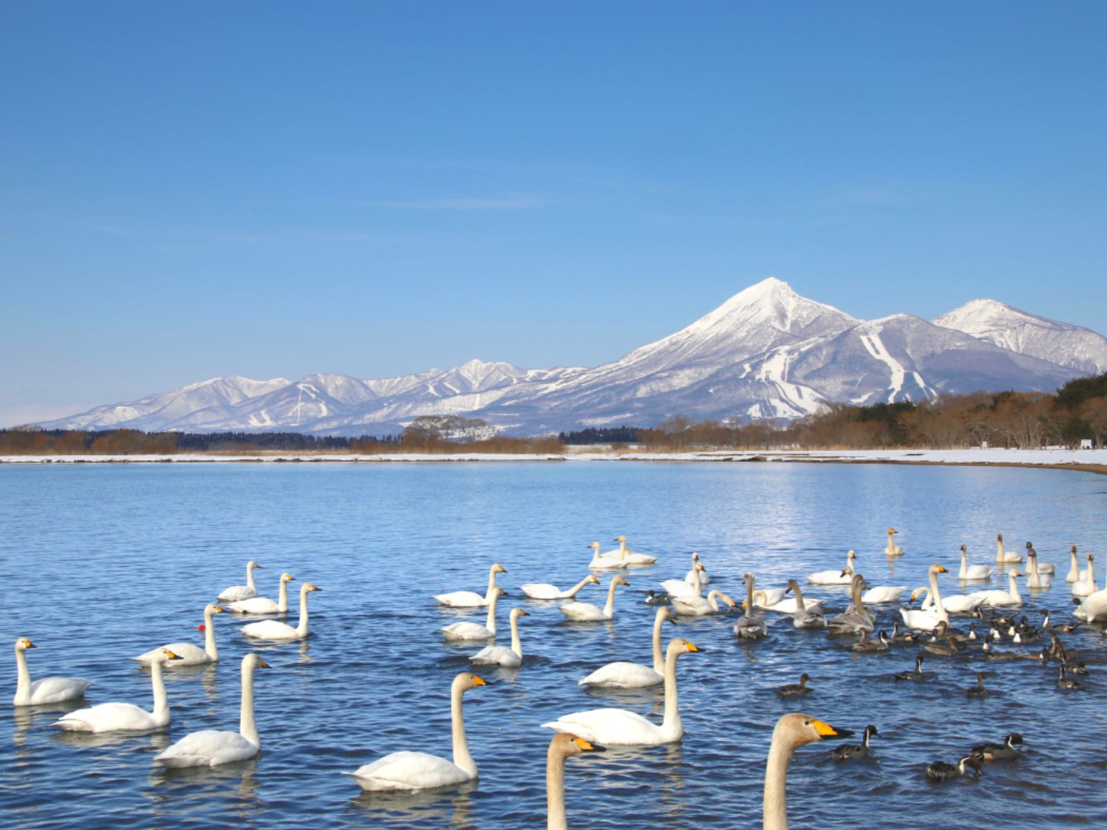 「福島県の絶景スポット」ランキング