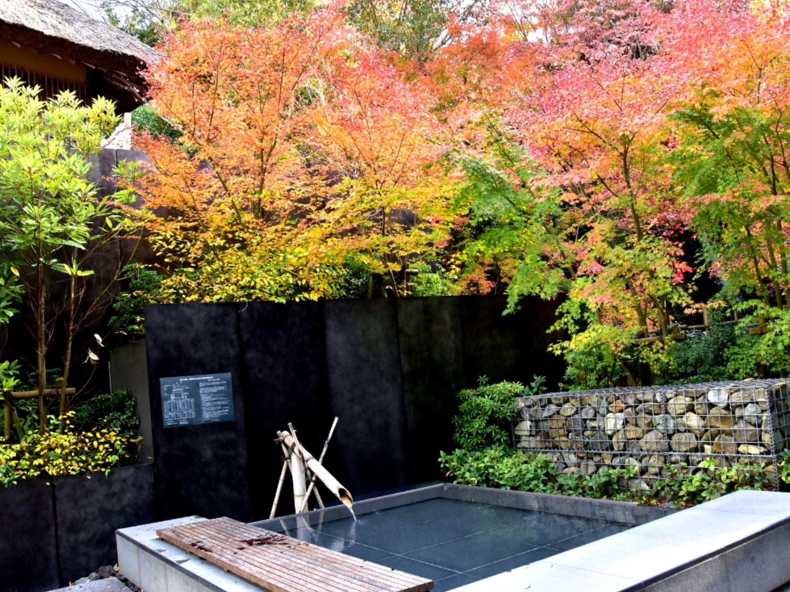 老後に行きたいと思う「神奈川県（箱根・湯河原エリア）の温泉地」ランキングの画像