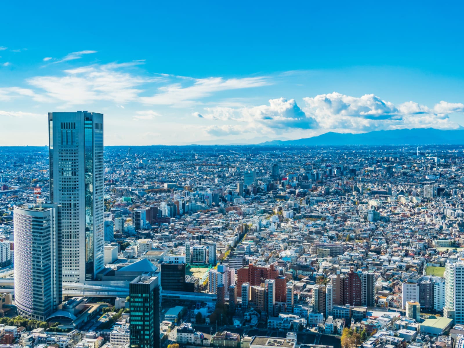 首都圏の「憧れのナンバープレート」ランキング