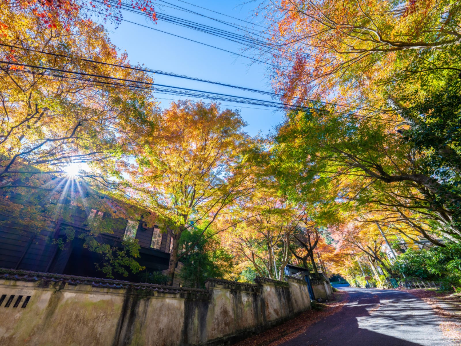日帰りで行きたい「神奈川県（箱根・湯河原エリア）の温泉地」ランキング