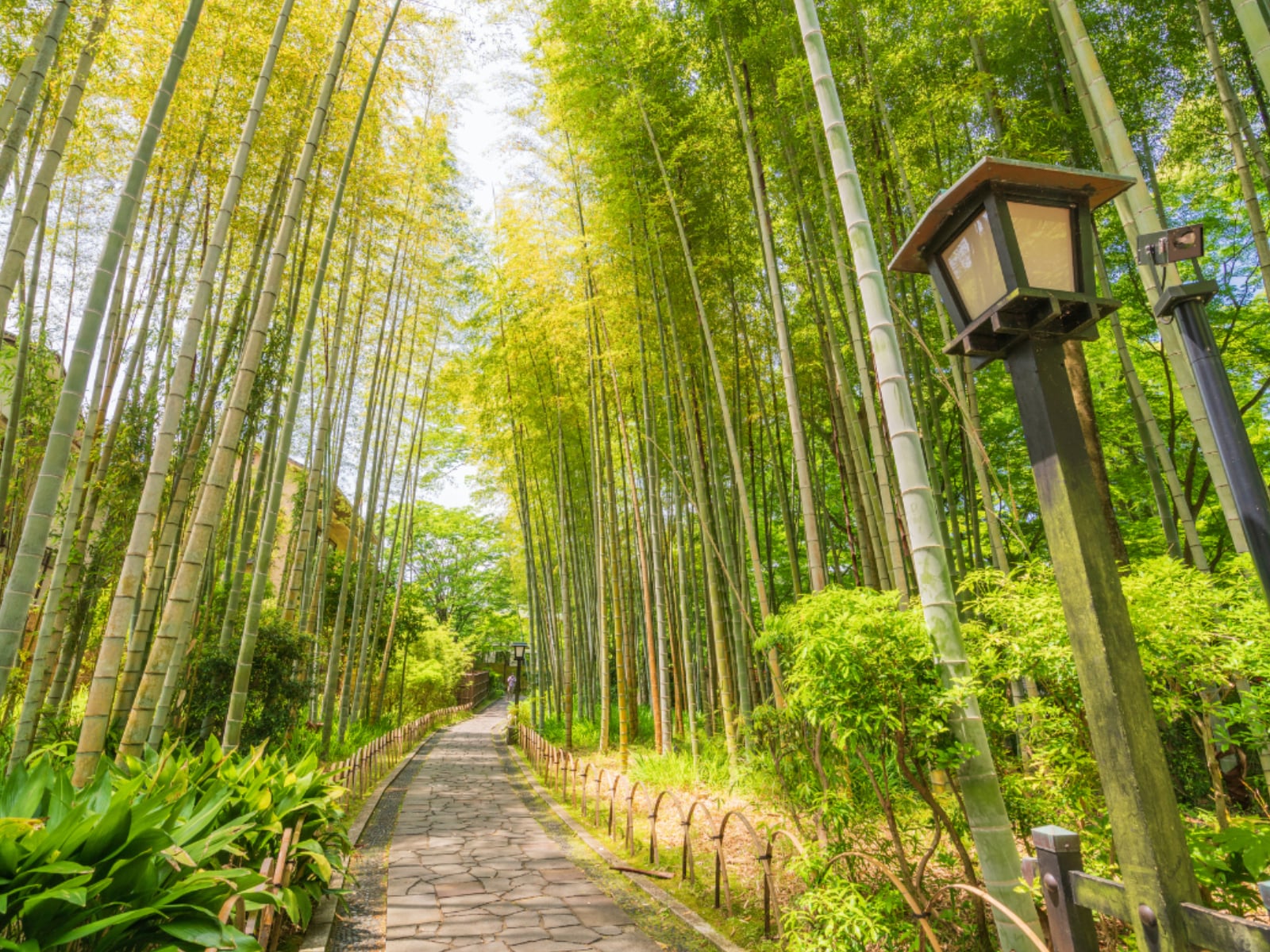 日帰りで行きたい「静岡県（伊豆・熱海・東伊豆エリア）の温泉地」ランキング