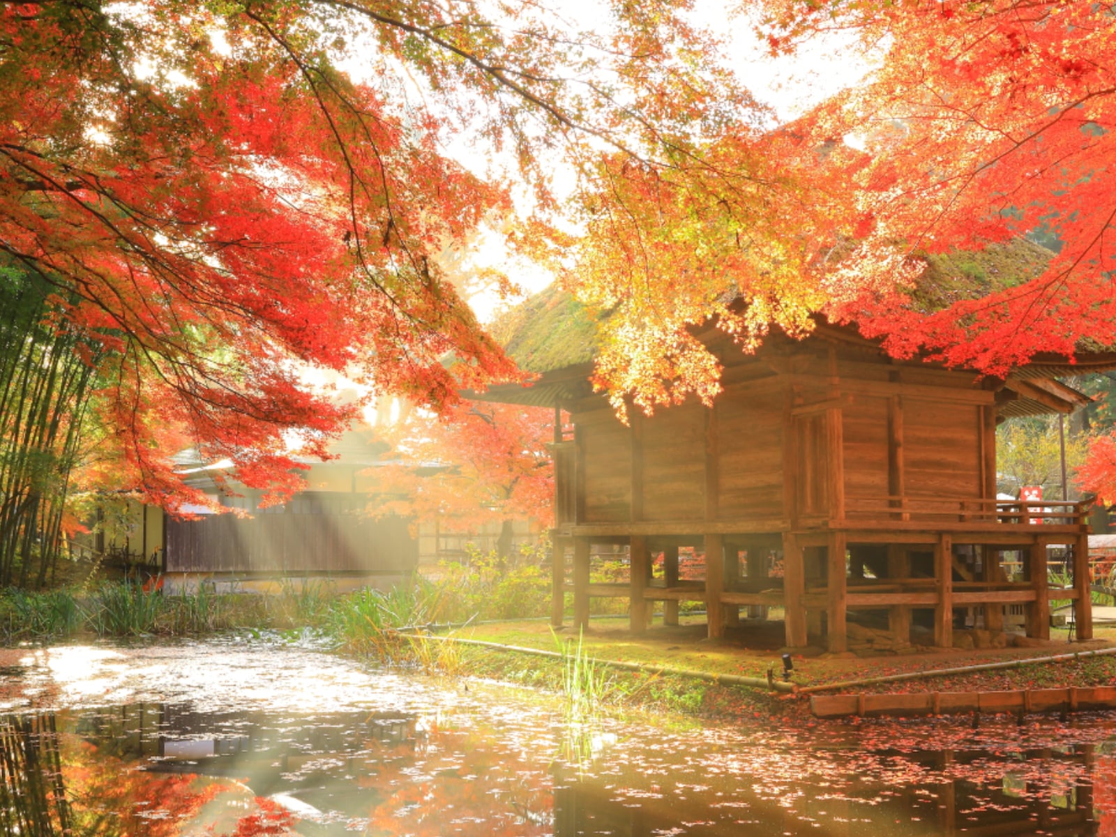 好き＆行ってみたい「日本の古都」ランキング