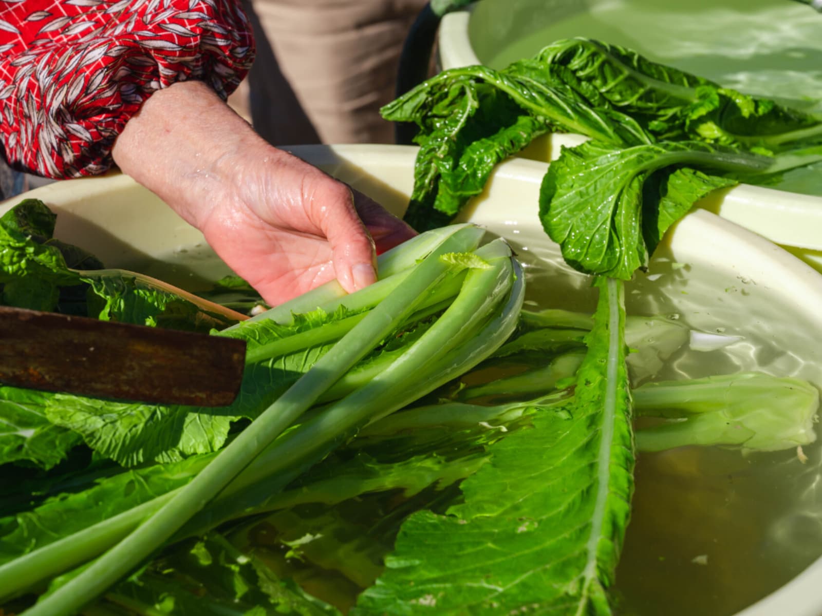 旅先で買いたい「長野県のお土産」ランキング