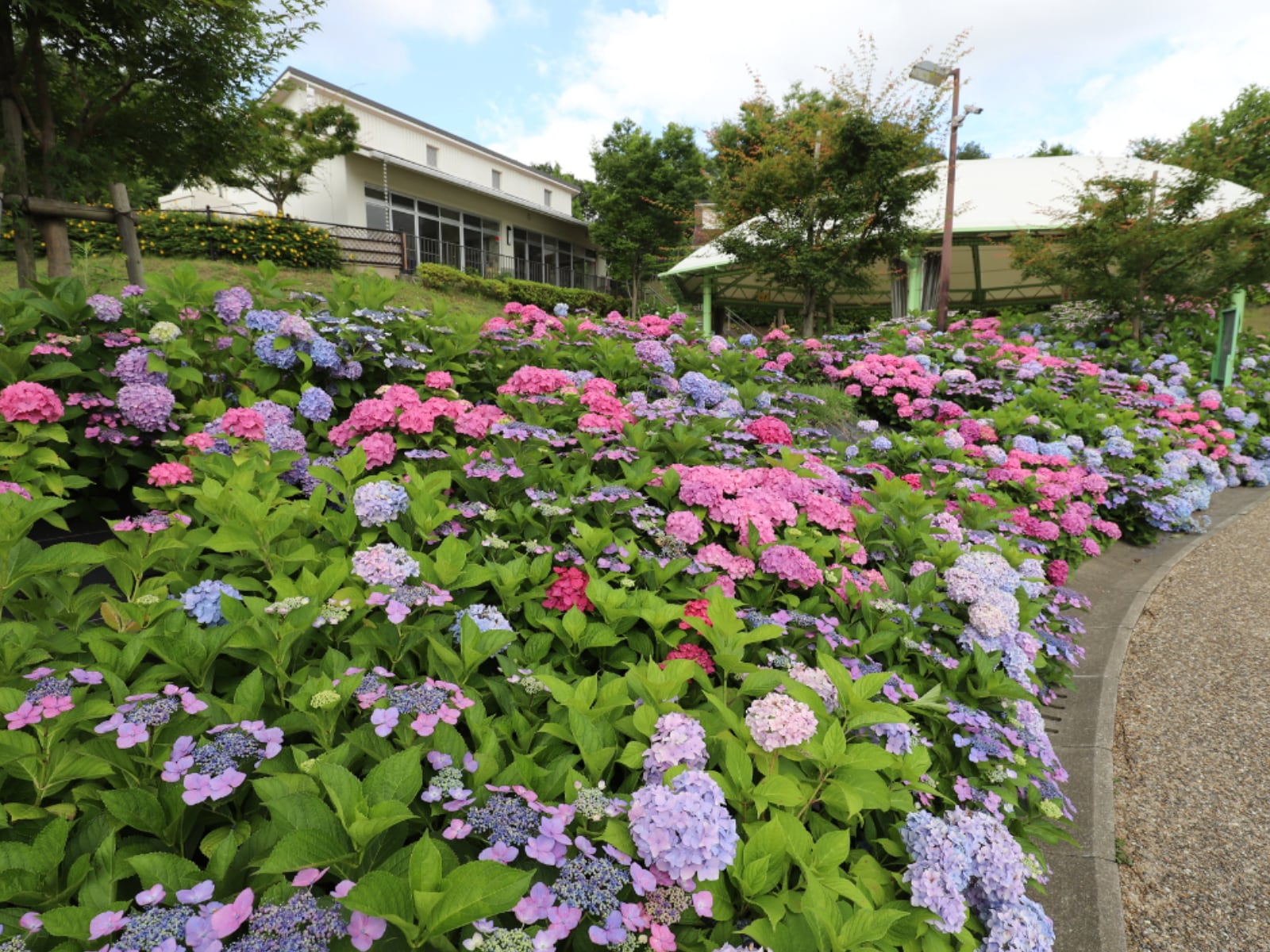 子連れで行きたいと思う「大阪府の道の駅」ランキングの画像