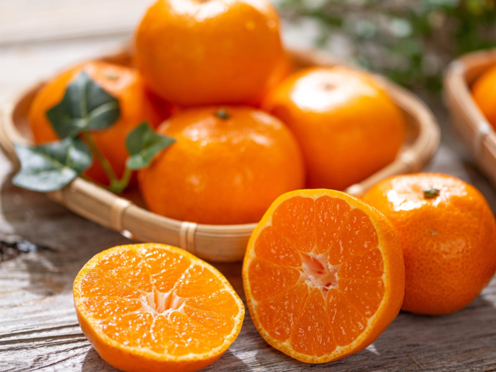 旅先で買いたい「和歌山県のお土産」ランキング