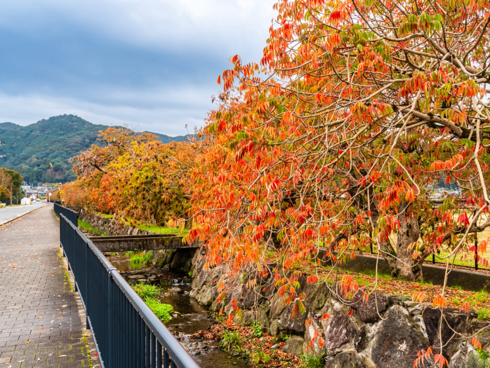 「子連れで行きたいと思う『福岡県の道の駅』」ランキング