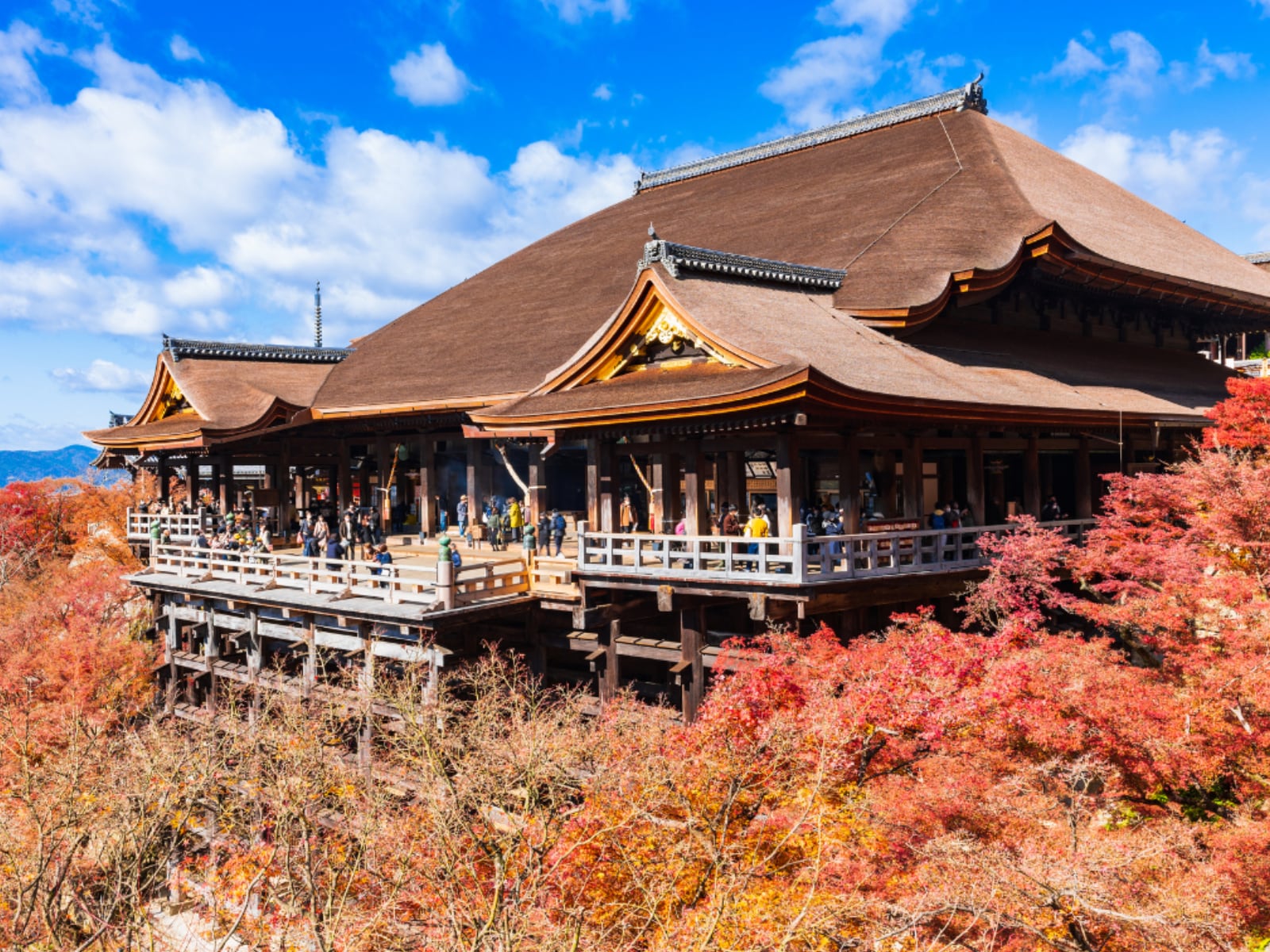 好き&行ってみたい「京都府の寺社仏閣」ランキング