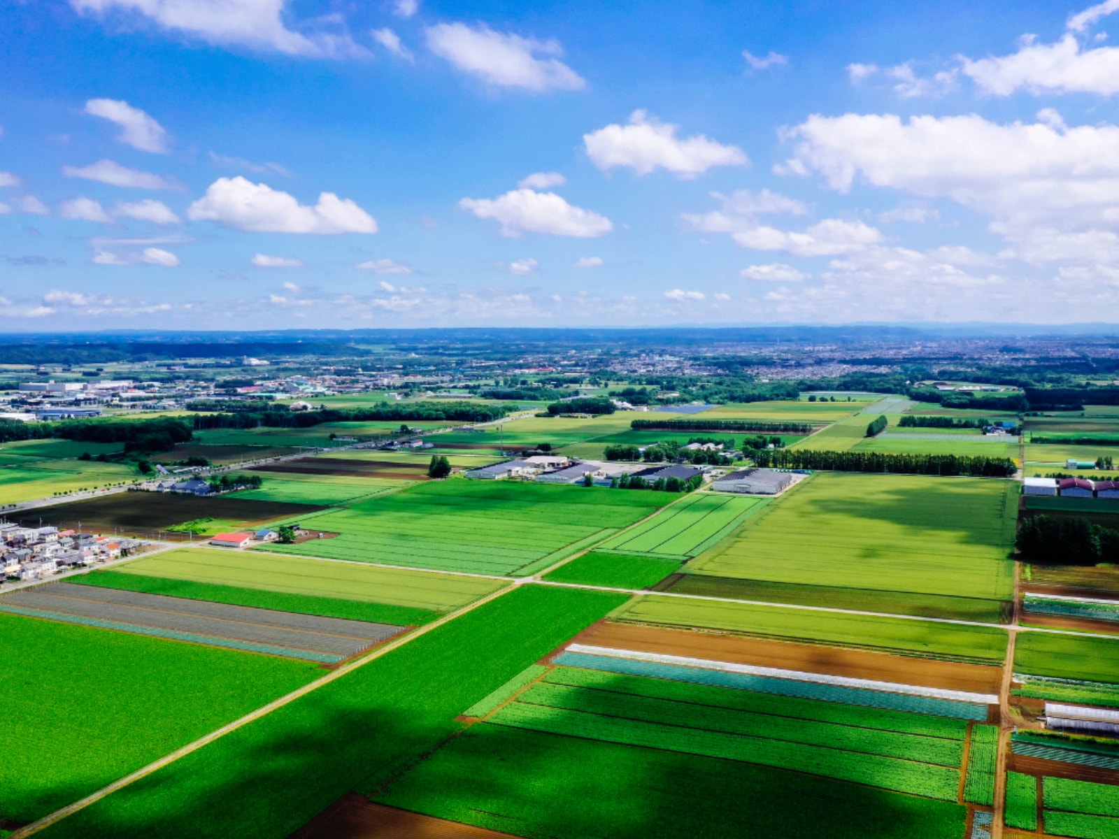 好き＆飲んでみたい「北海道の地酒」ランキングの画像