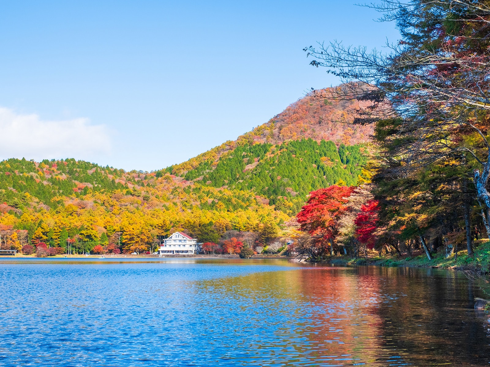出身と聞いてすごいと思う「群馬県の私立進学校」ランキング