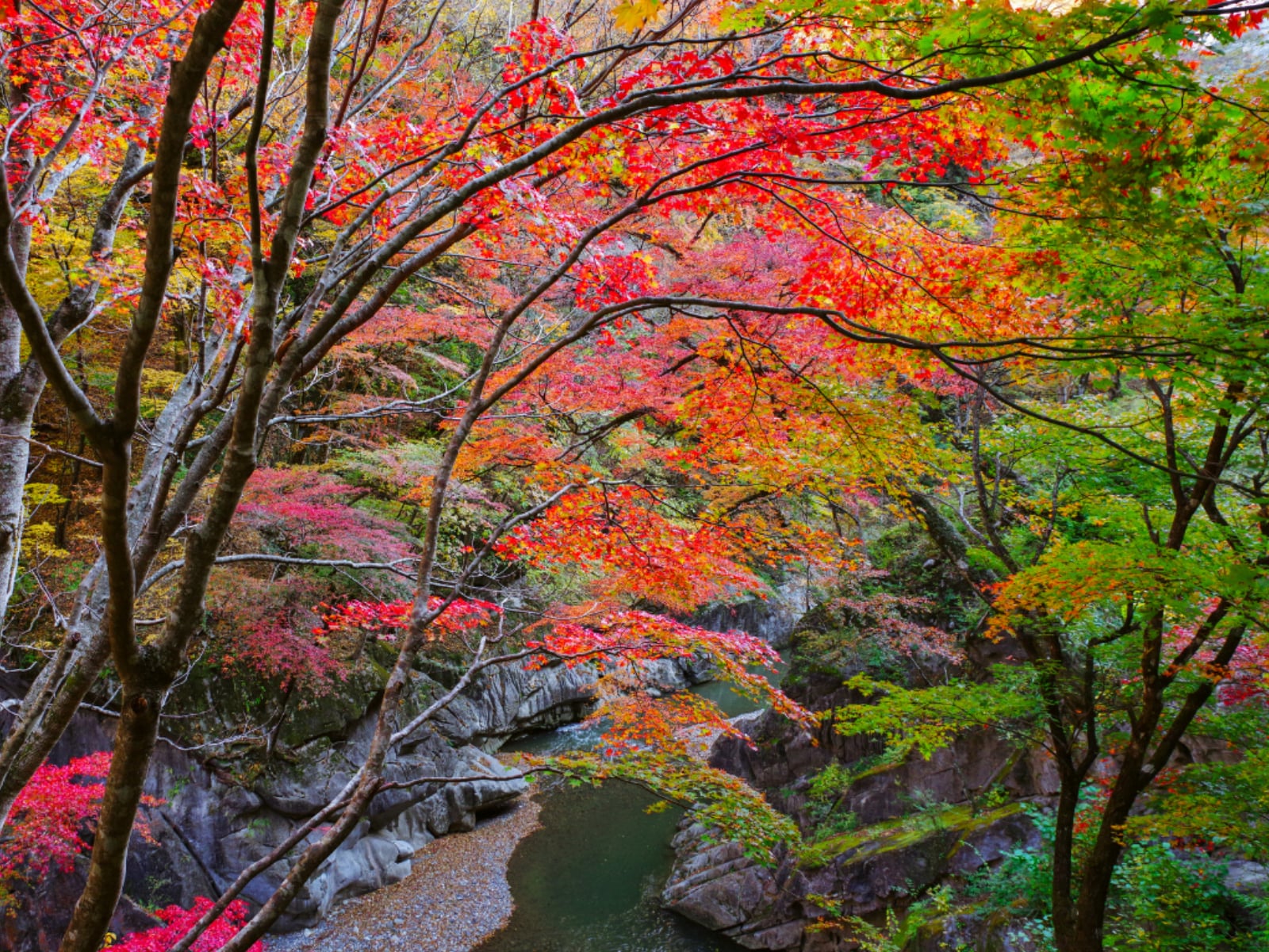 長期休みに行きたい「埼玉県の穴場秘境」ランキング
